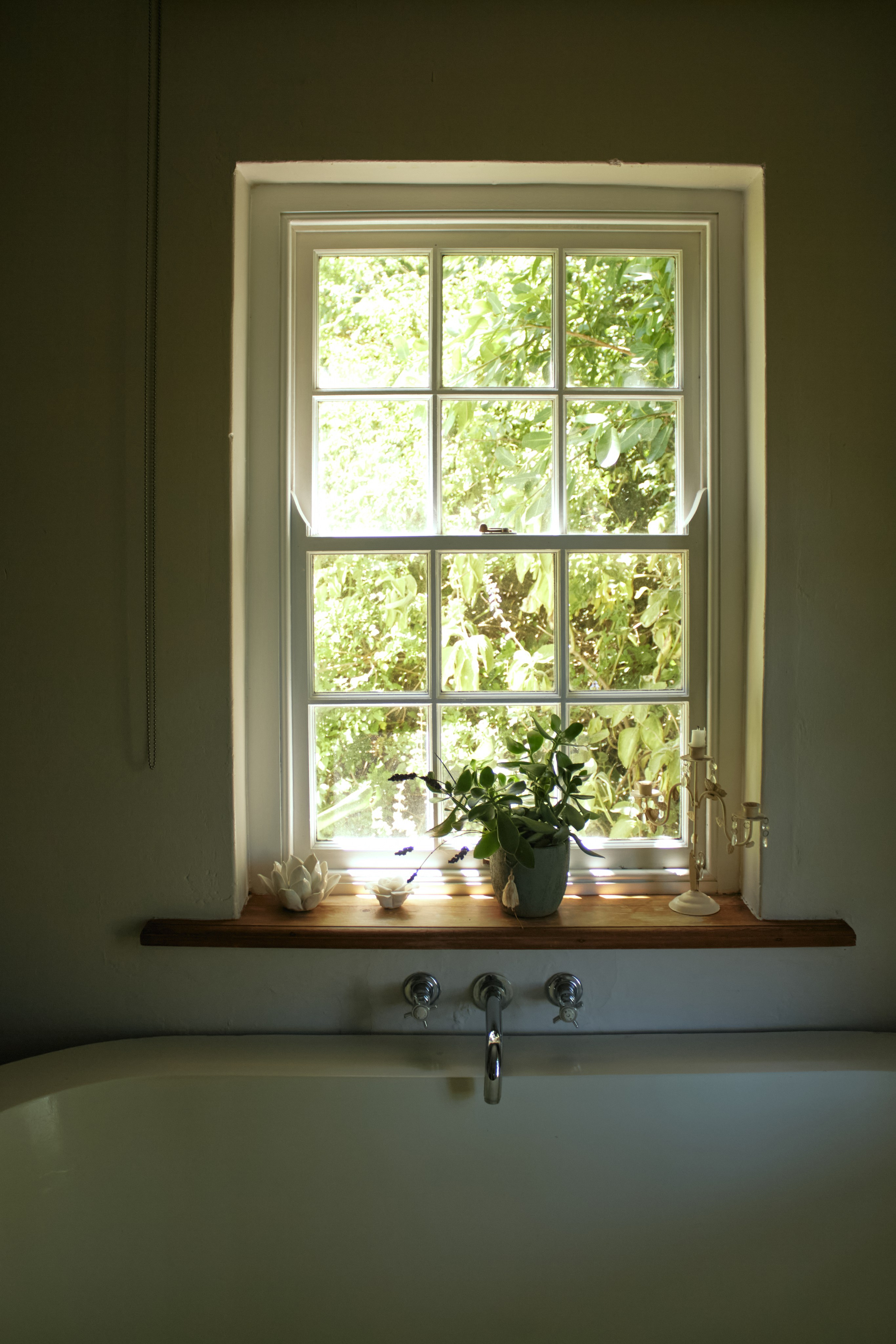 ЮАР. Профессиональный Фотограф во Владимире, в Москве и в Суздале — Полина Романычева