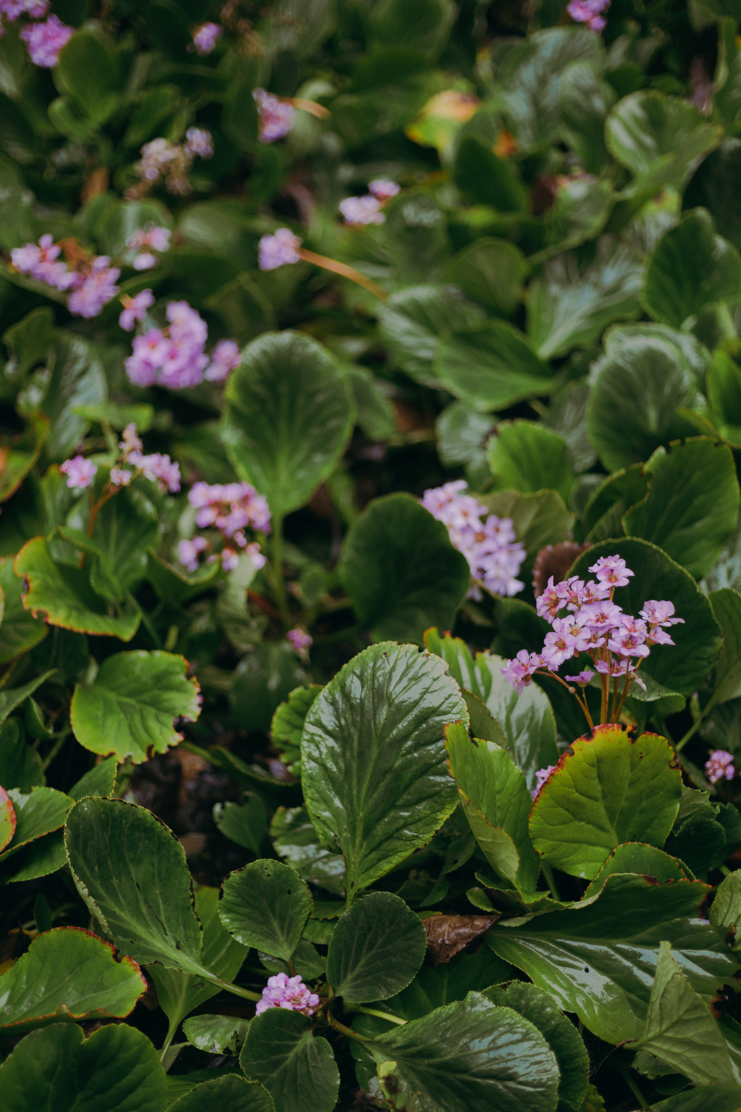 Стамбул. Профессиональный Фотограф во Владимире, в Москве и в Суздале — Полина Романычева