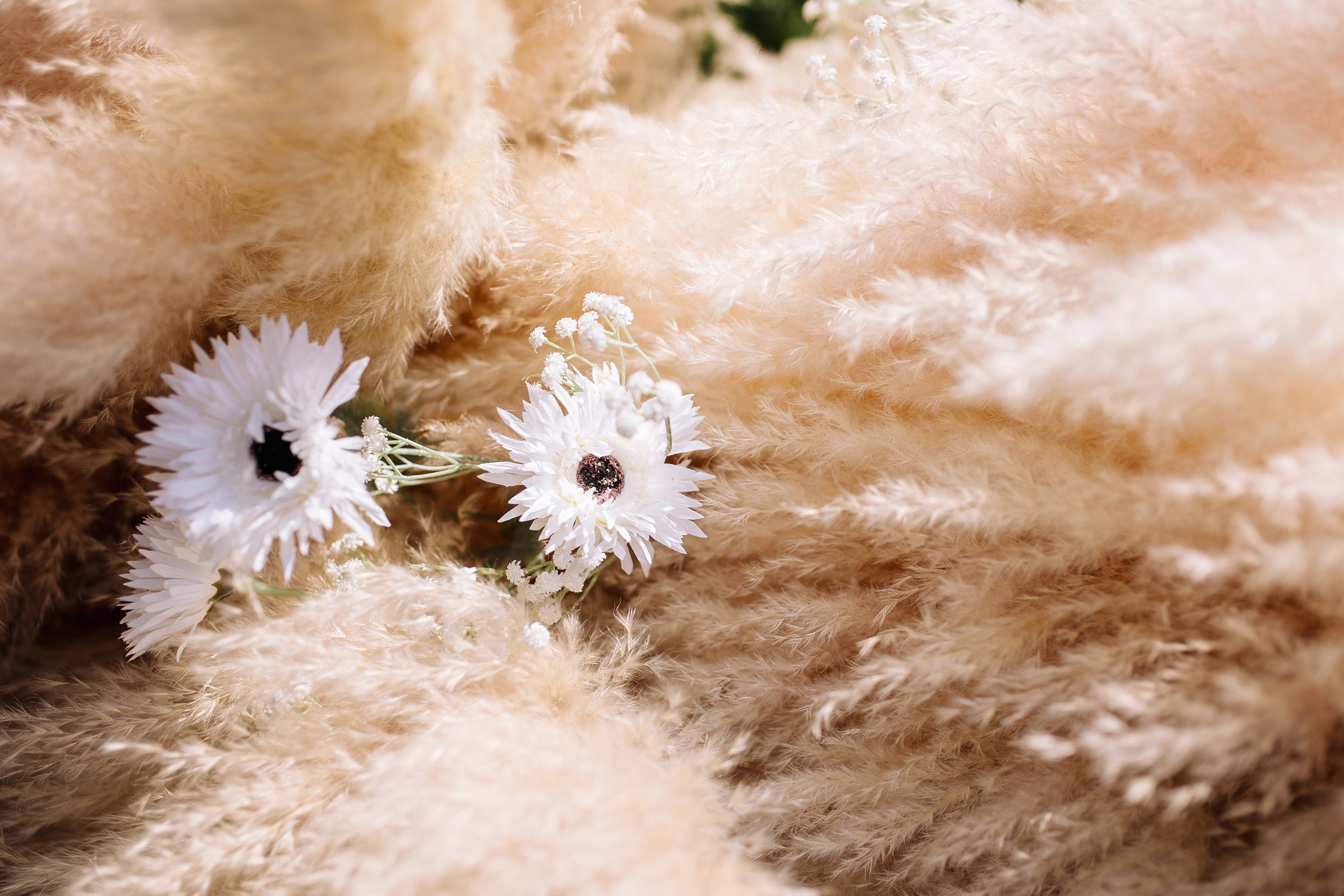 Свадебный репортаж. Свадебный и Репортажный фотограф Александр Шаров