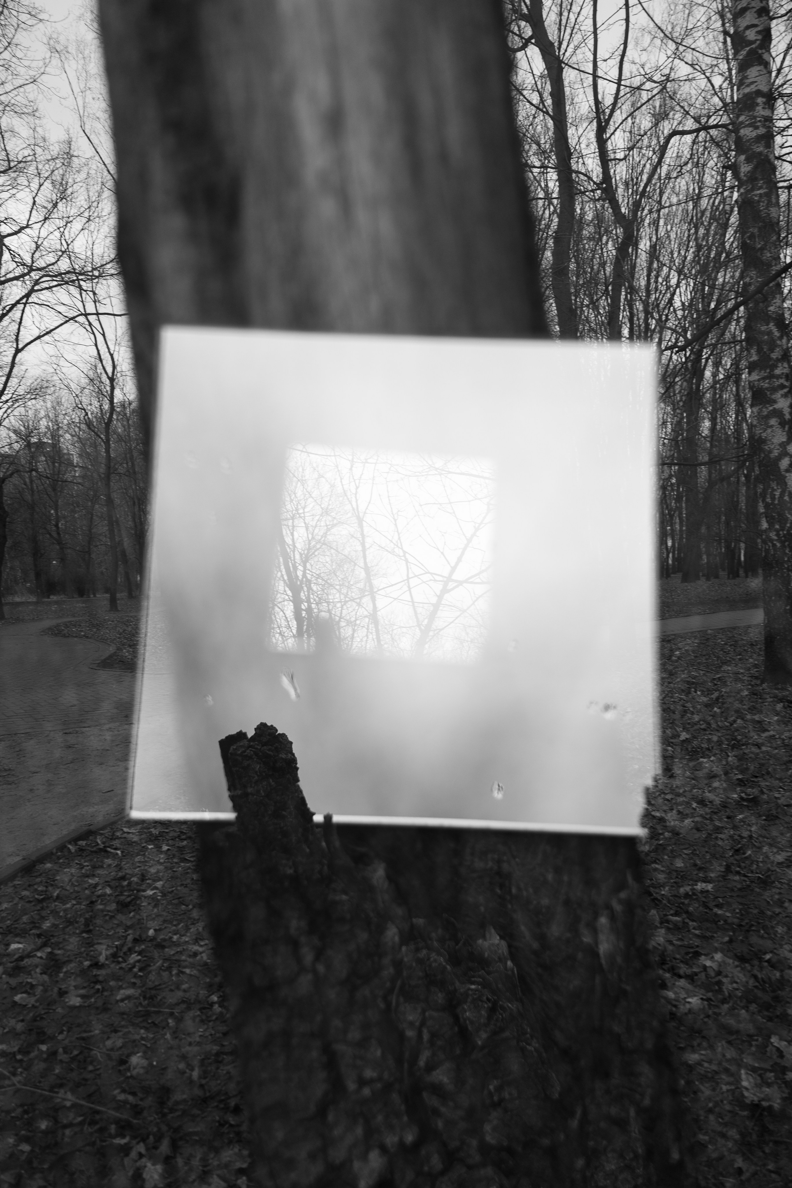 Art prints. Фотограф алина стерхова, алина стерхова фотограф, фотограф москва