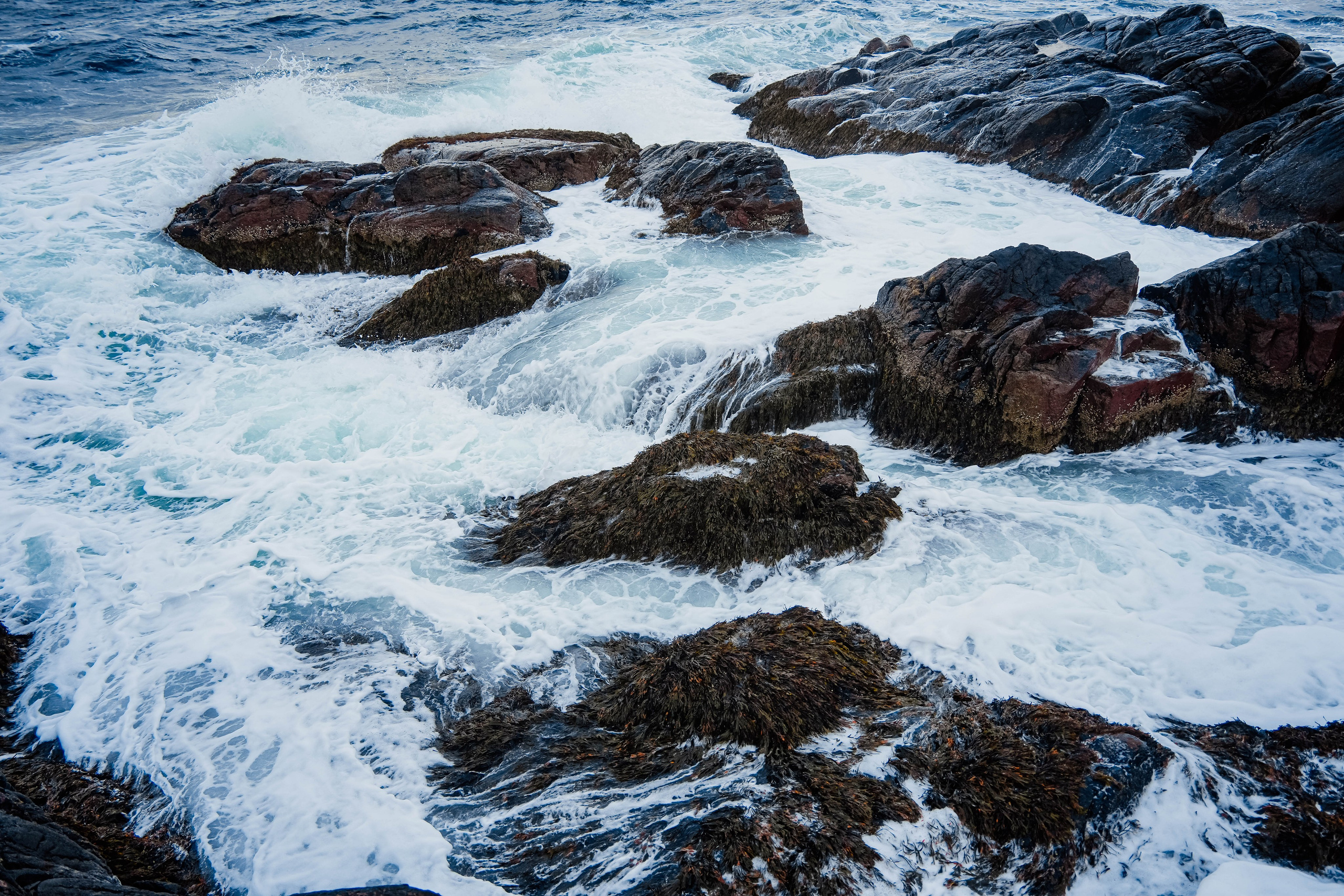 СЕВЕР. Event фотограф Степанова Александра