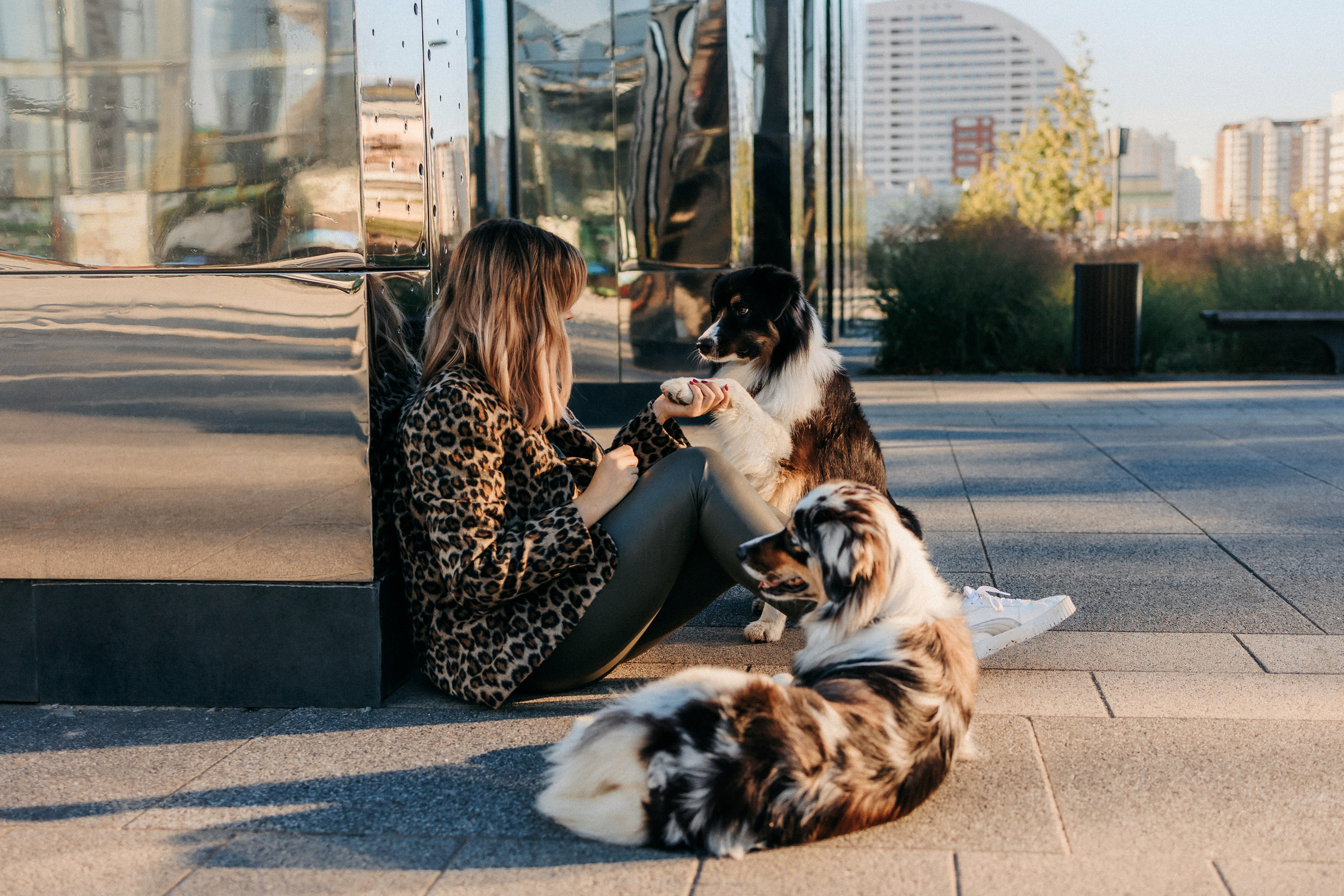 Аня, Чарли и Ева. Фотограф-анималист Елена Радченко, Москва