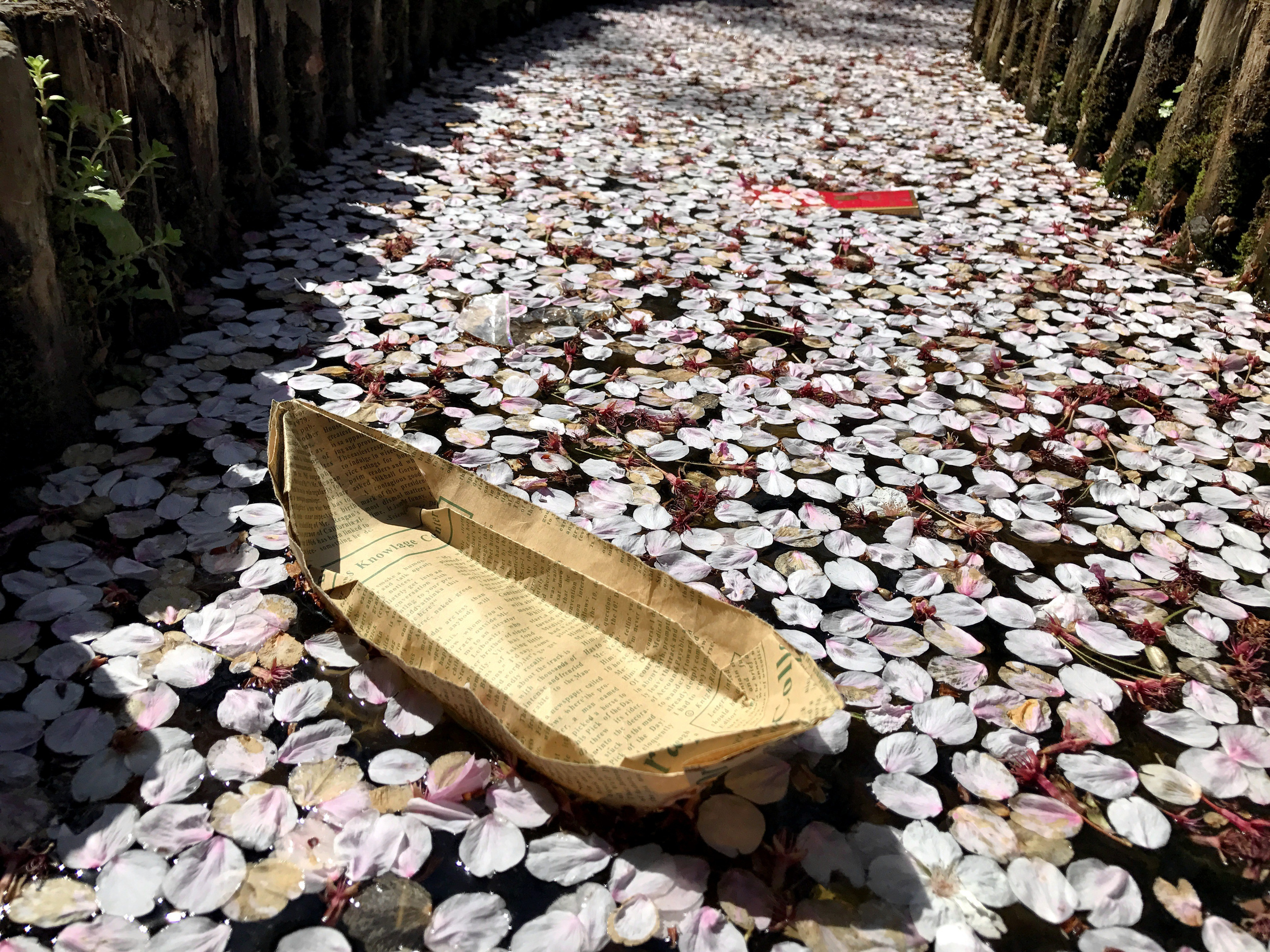 СТРИТ / ТРЕВЕЛ. Семейный и travel-фотограф из Израиля