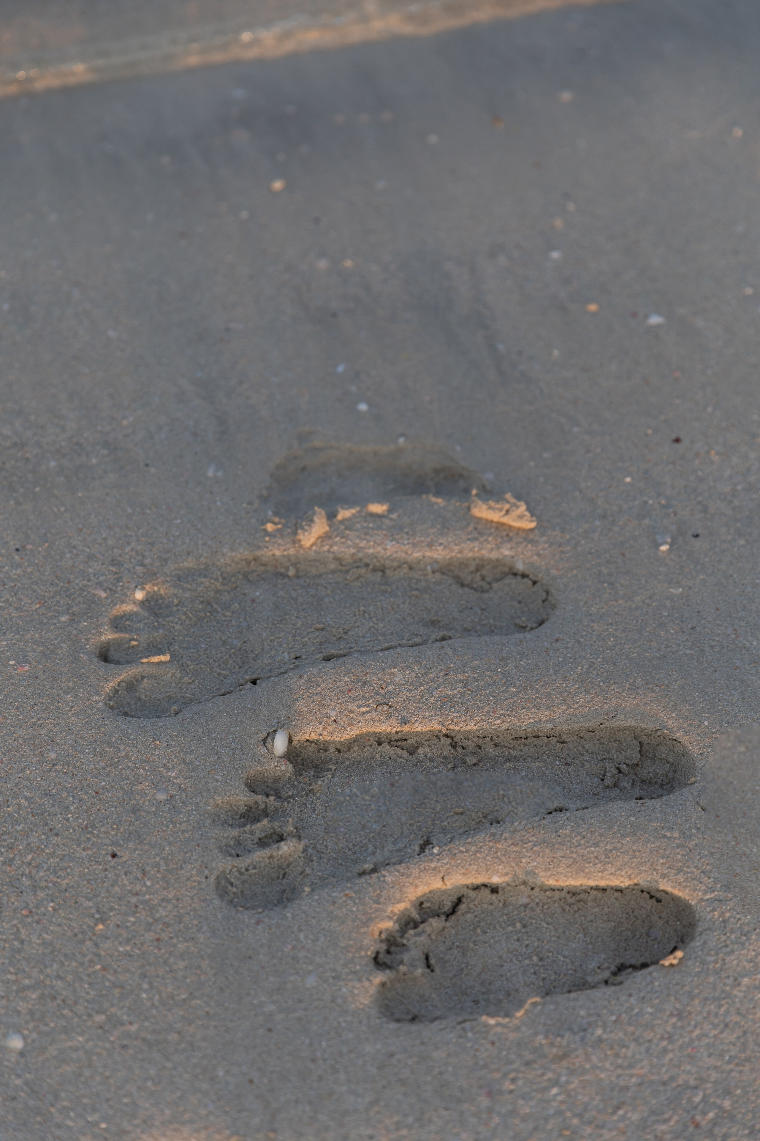 Бурдж Халифа & Море. Валерия Солнцева свадебный и семейный фотограф