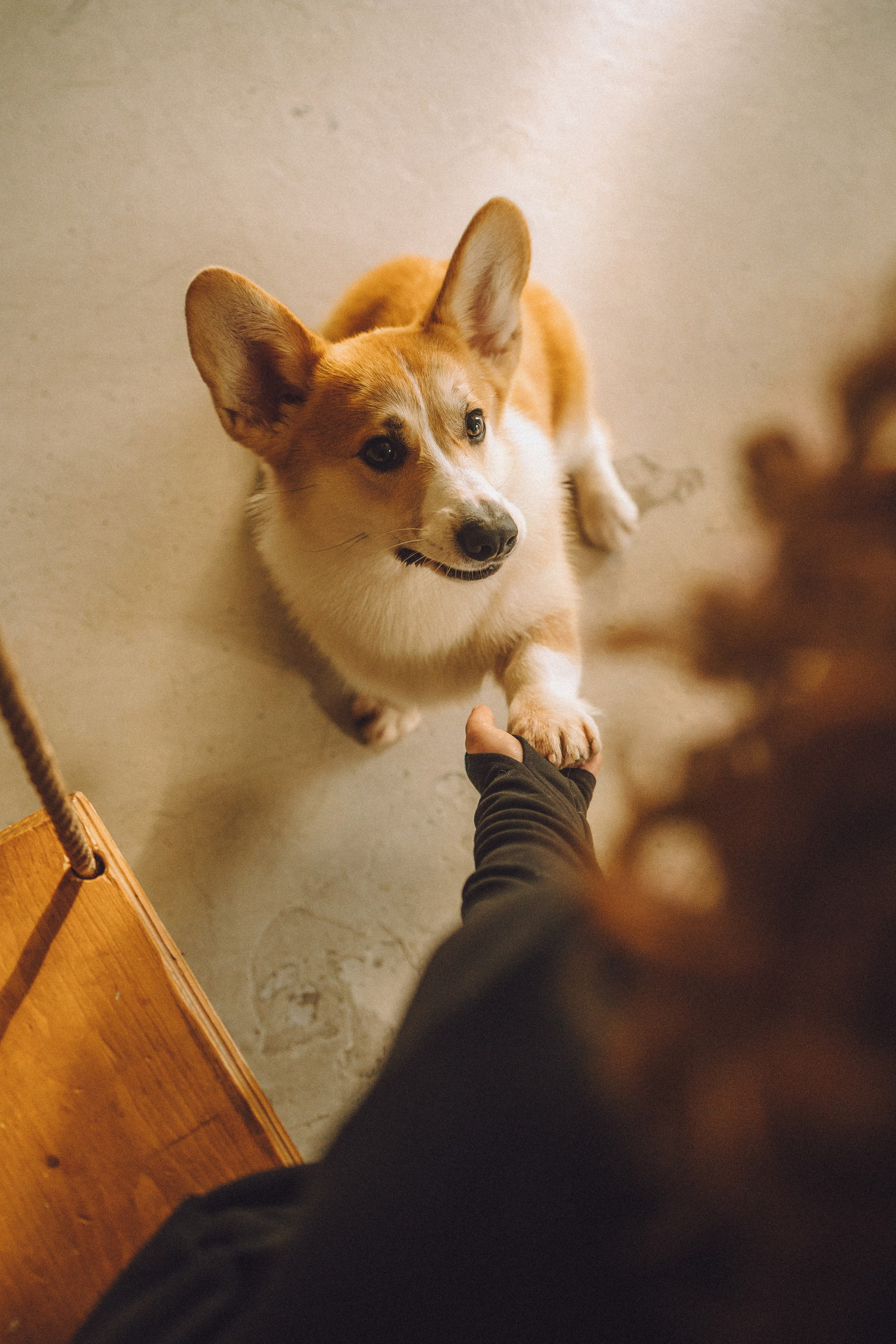 Наталья, Евгений и Мерлин