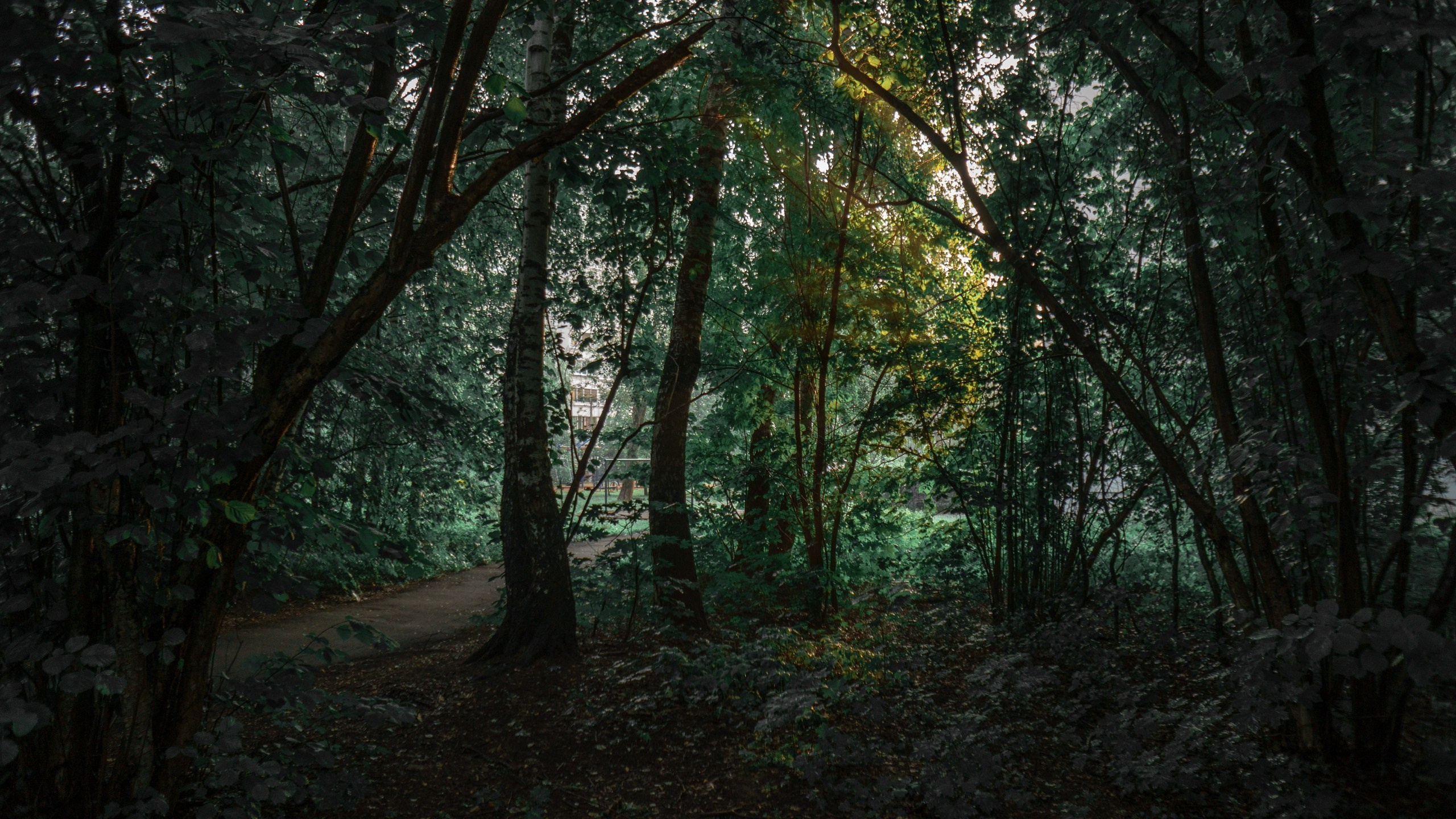 Улица горизонтальная. Jorgis — фотограф в Хургаде / обучение фотографии
