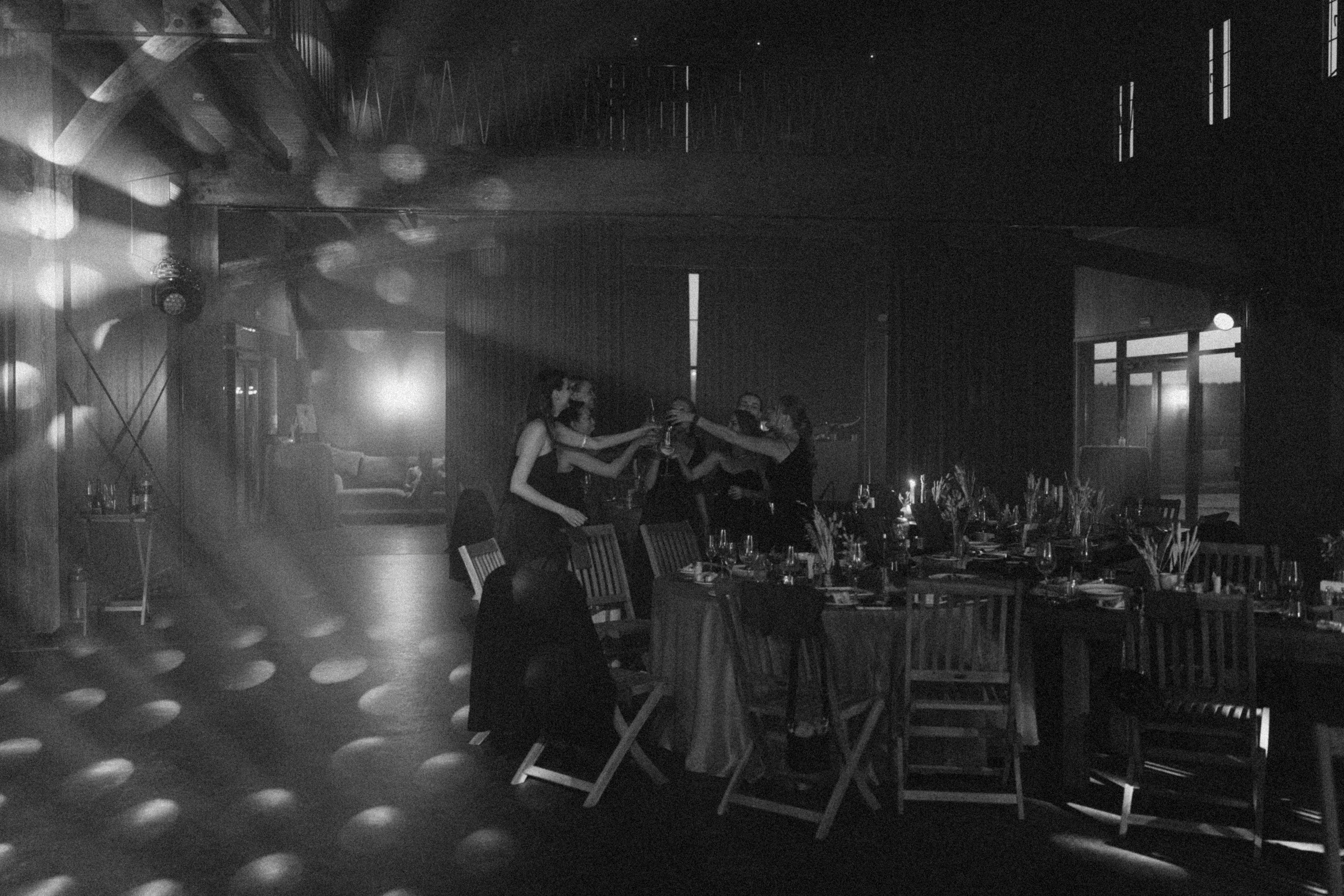 Котики. Свадебный фотограф Наташа Алешина