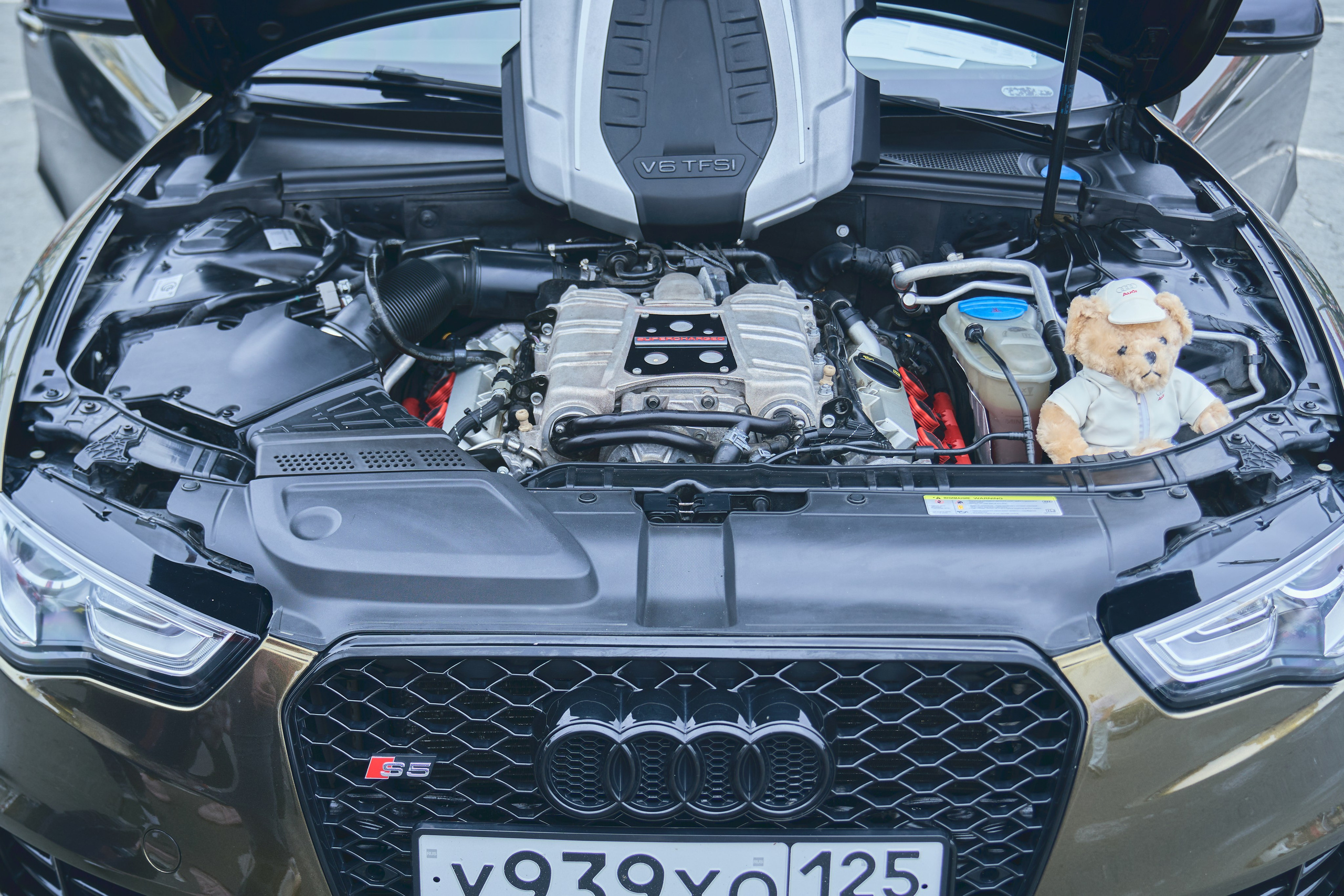 «АМТ-Евразия 2025». Фотограф во Владивостоке