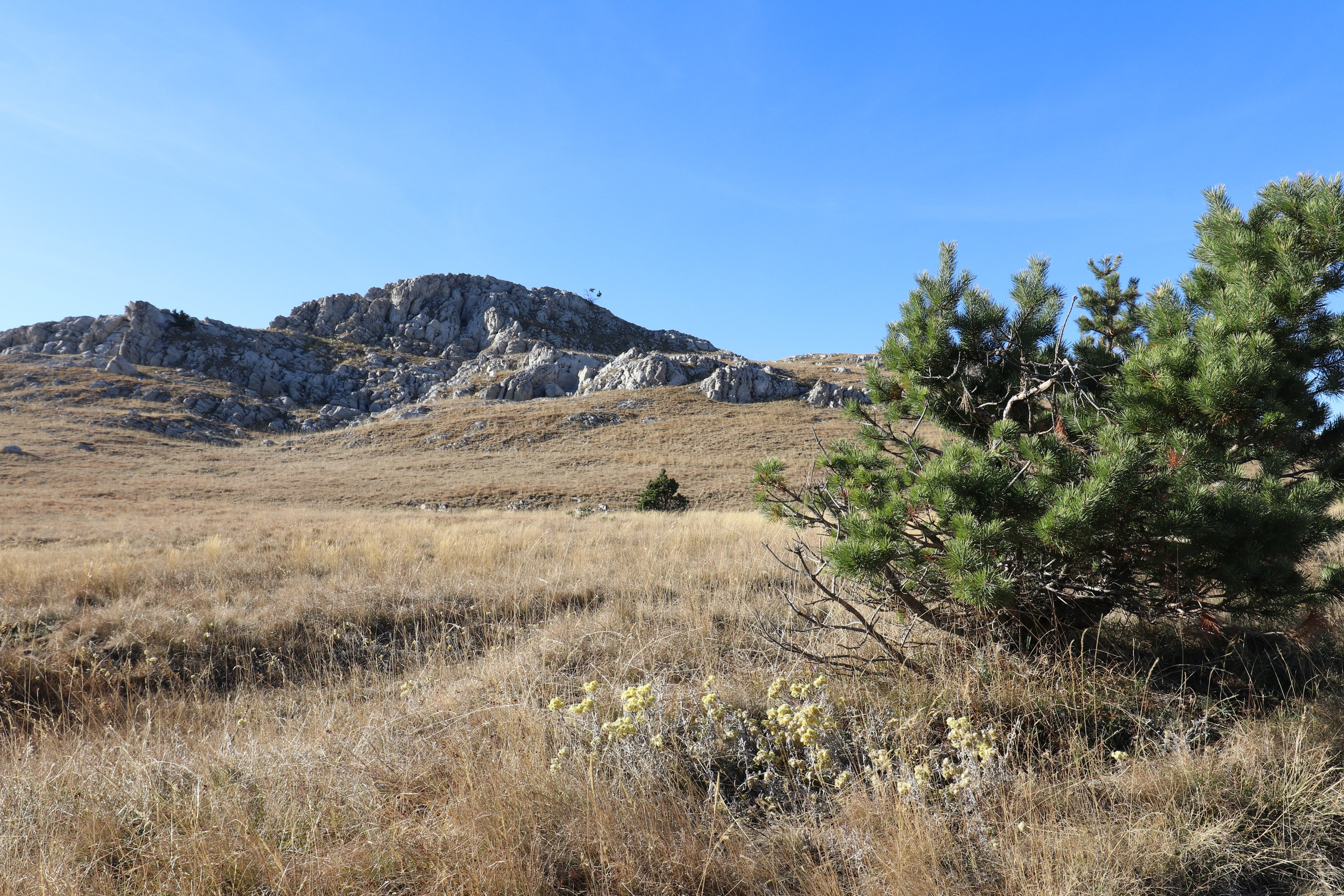 Крым. ЮБК (Фиолент, Ай-Петри, Роман-Кош). Знакомство. Октябрь 2017. Путешественник-фотограф из Санкт-Петербурга Татьяна Свистулина