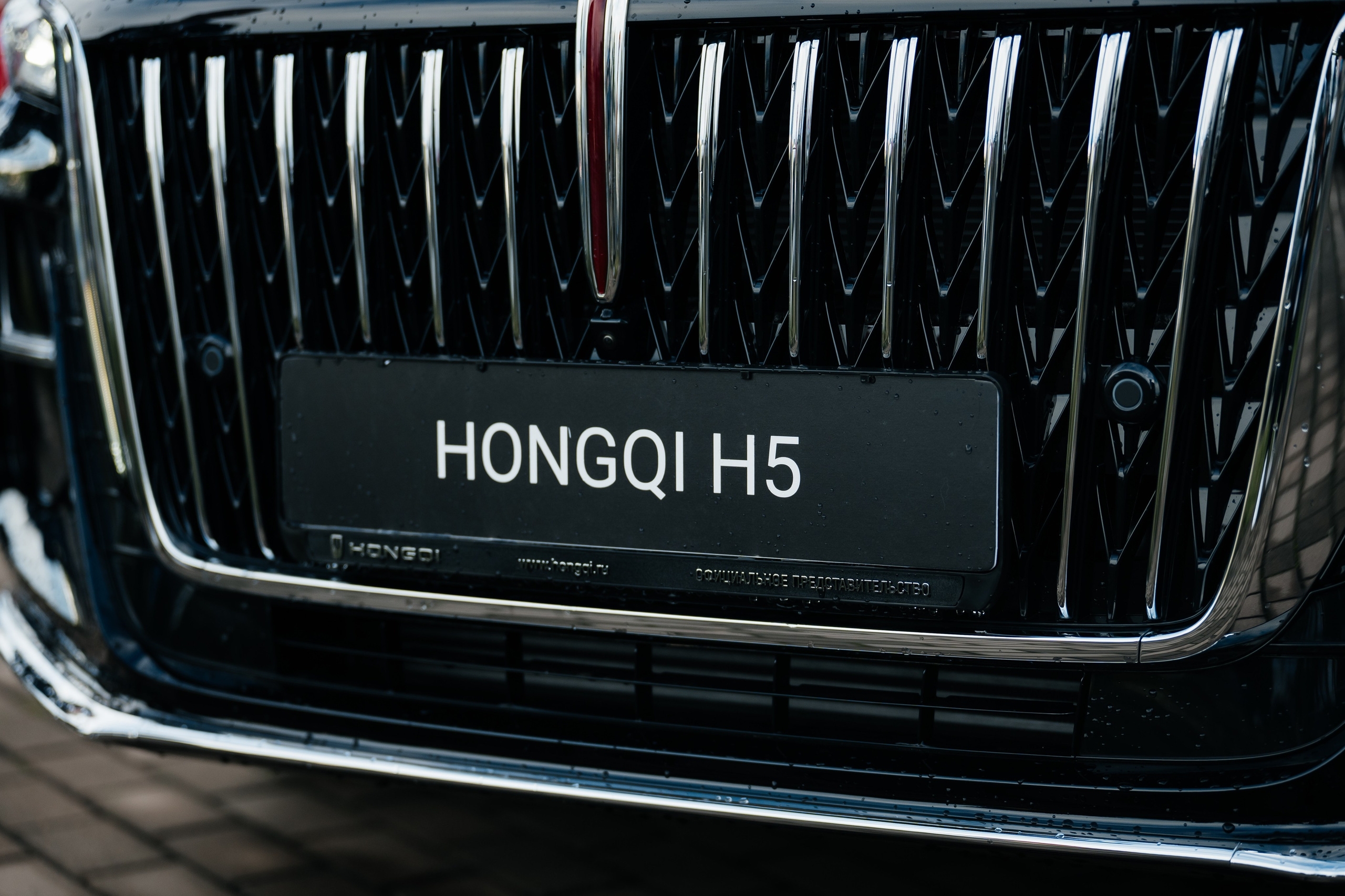 Яндекс TAXI 2025. Фотограф Илья Бызов, Свадебный и репортажный фотограф Сочи