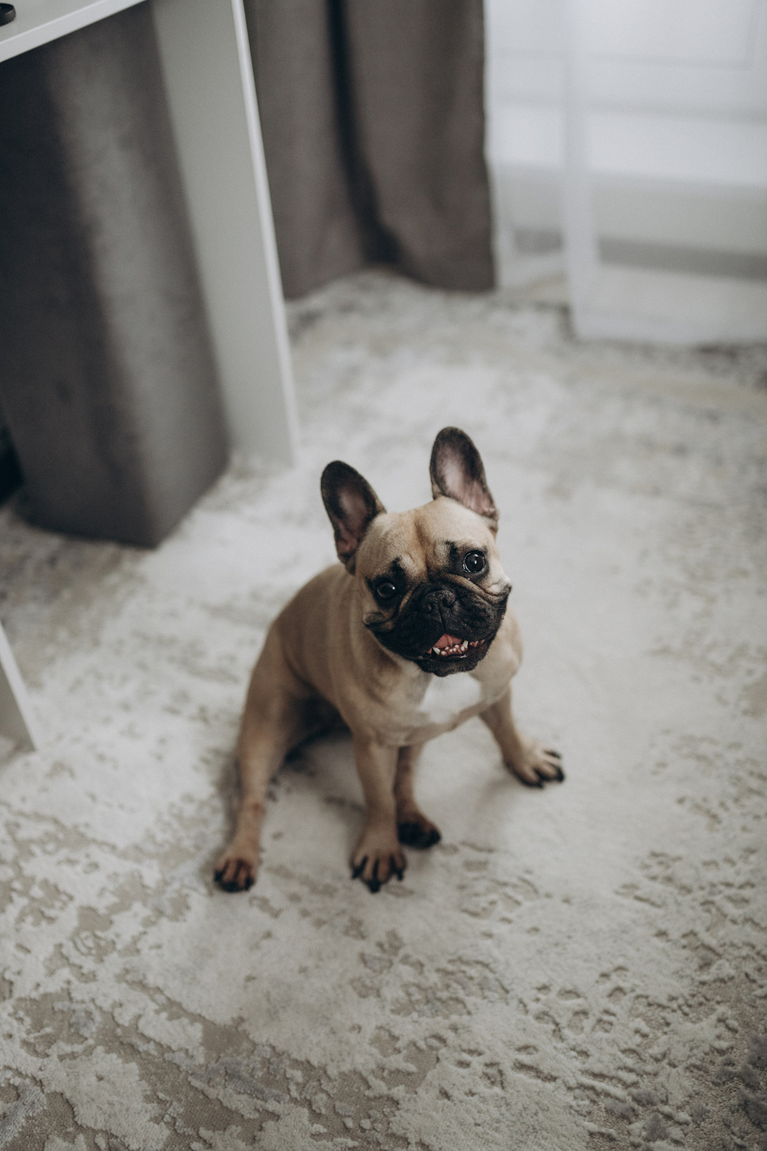 Беременность. Фотограф новорожденных в Тюмени