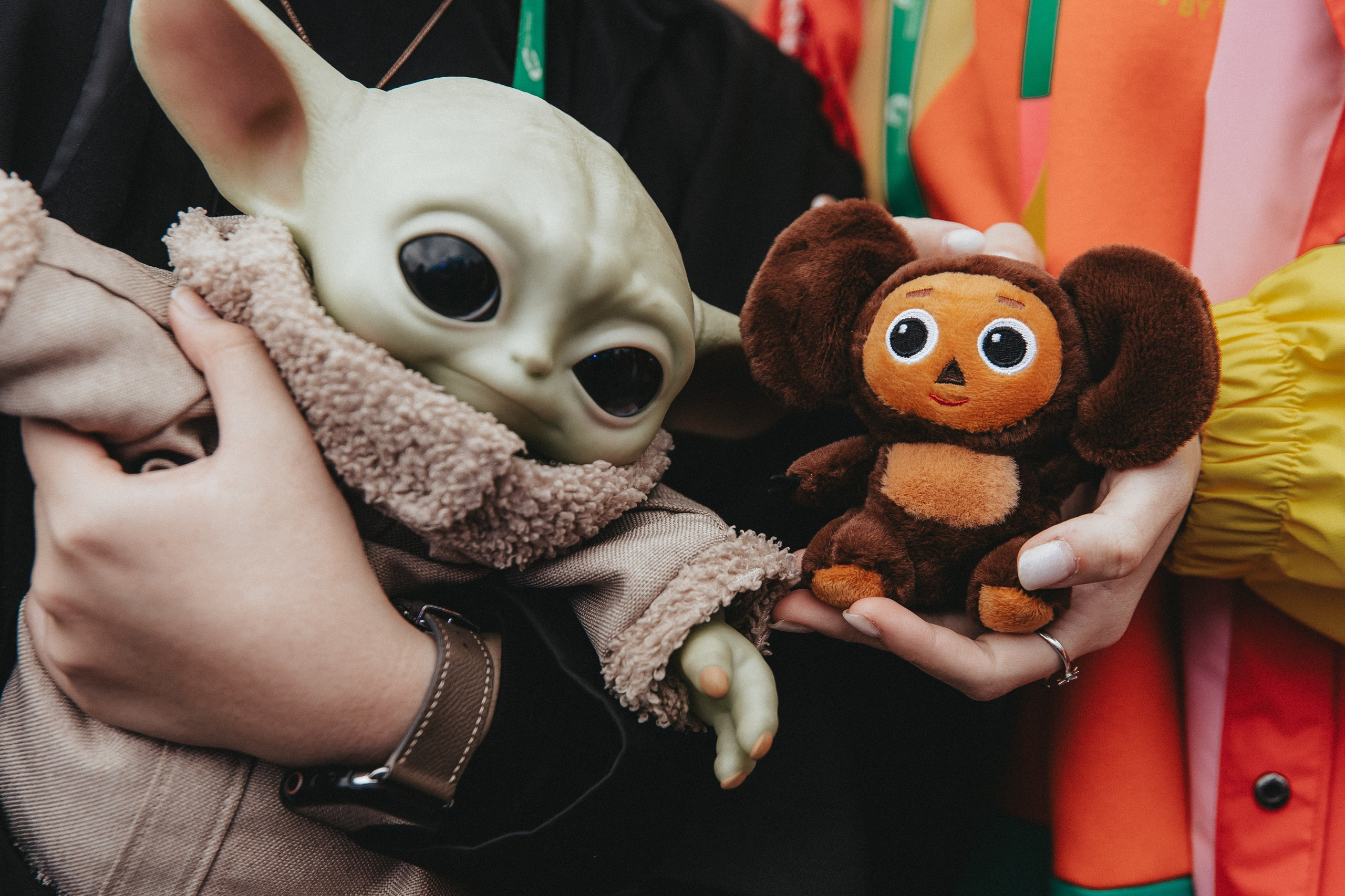 ВФМ 2024. Izotoff Photographer