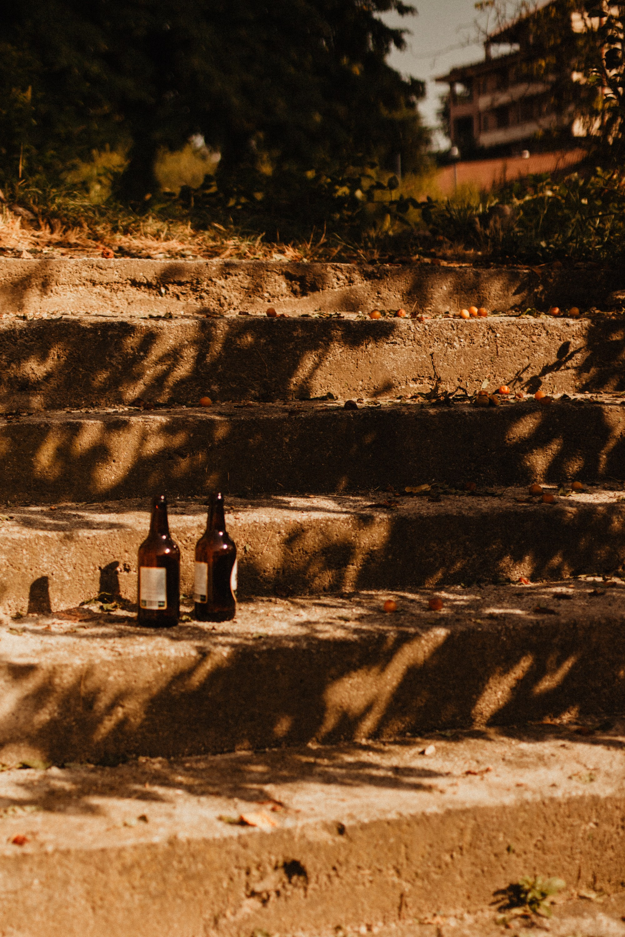 Грузинские каникулы. Violetta Skripka