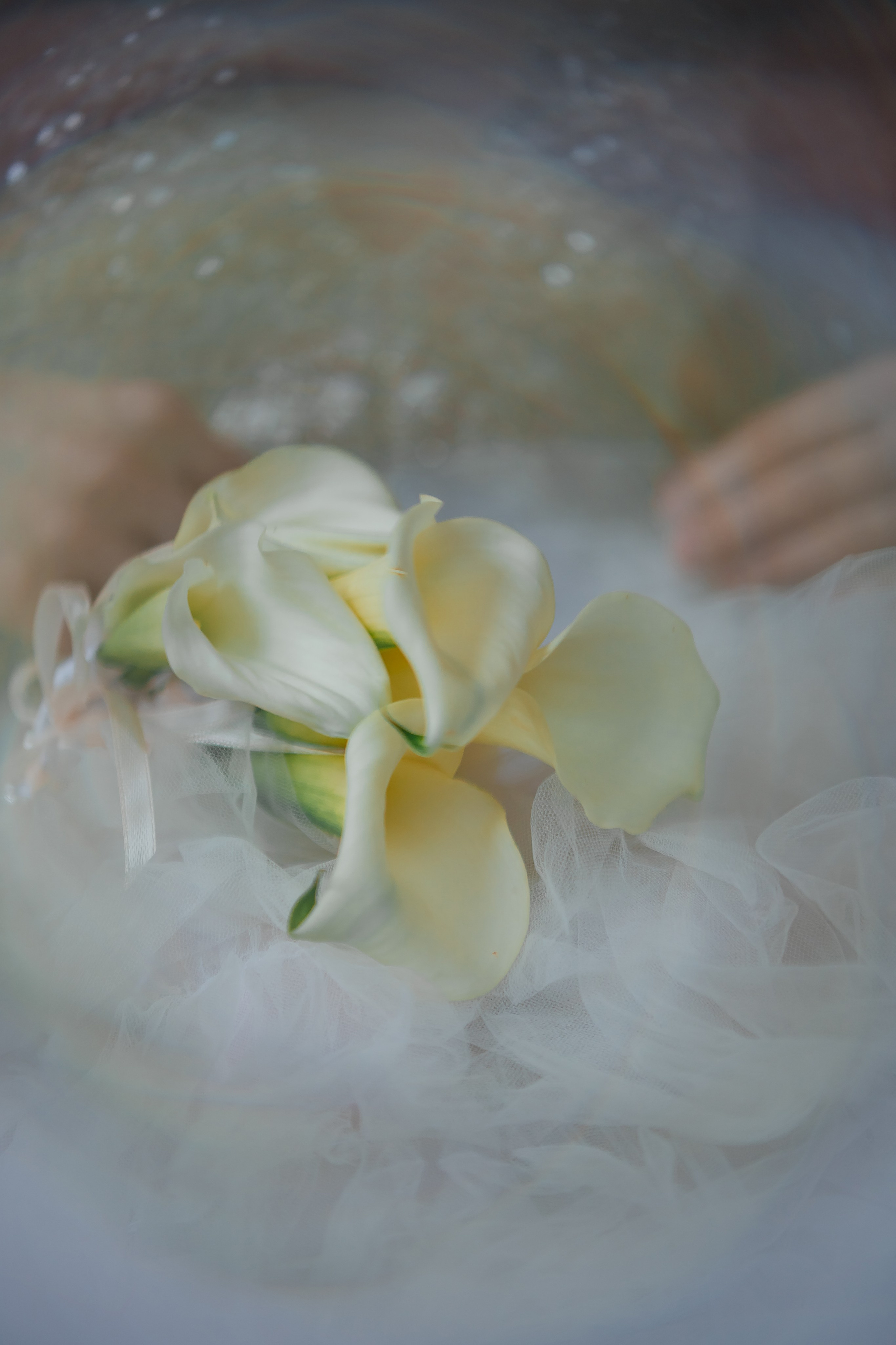 Анна и Максим. Фотограф Калуга