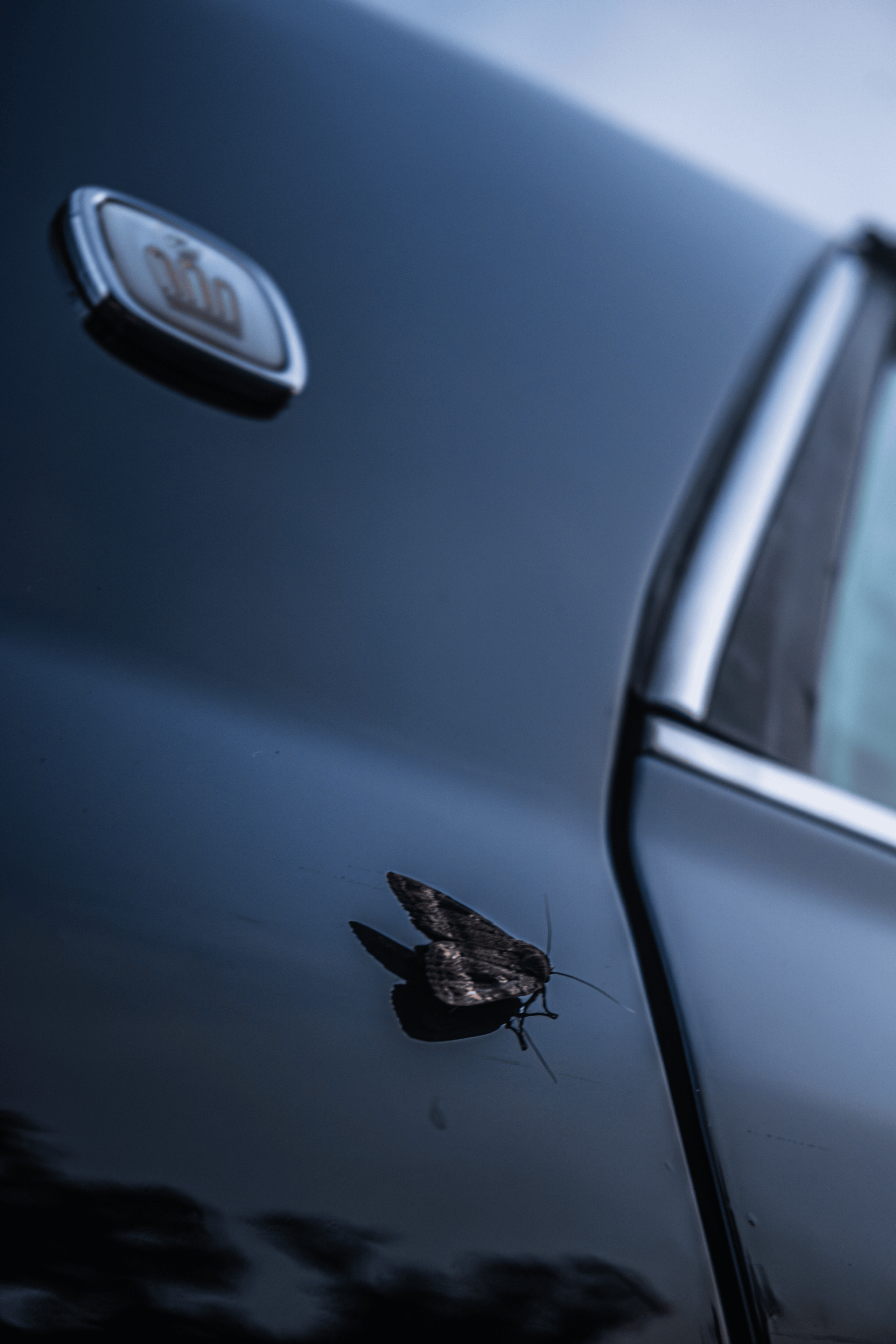 Toyota Crown S155: бриллиант в стенс-короне Владивостока