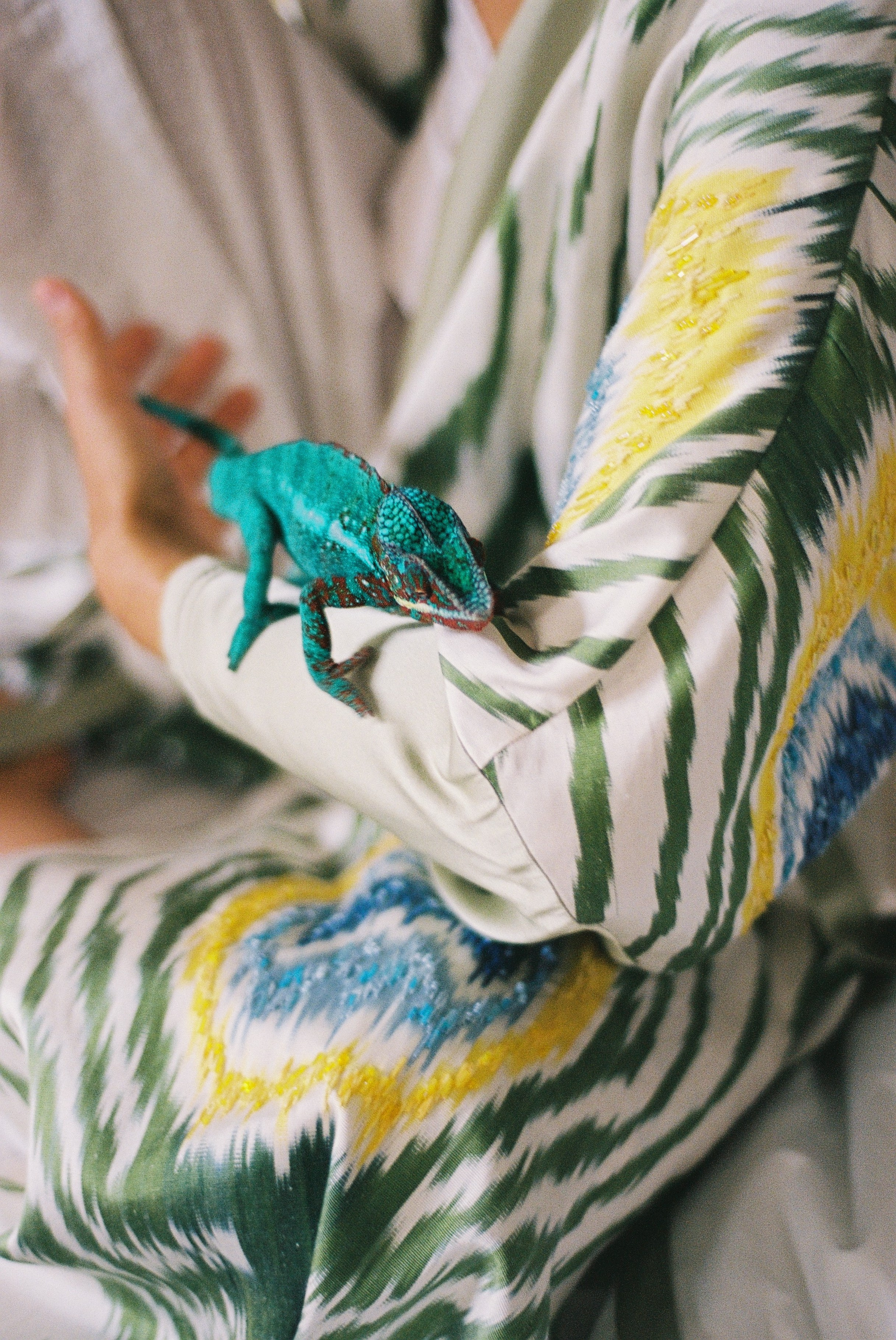 Fashion. Фотограф в Москве Лида Фойда