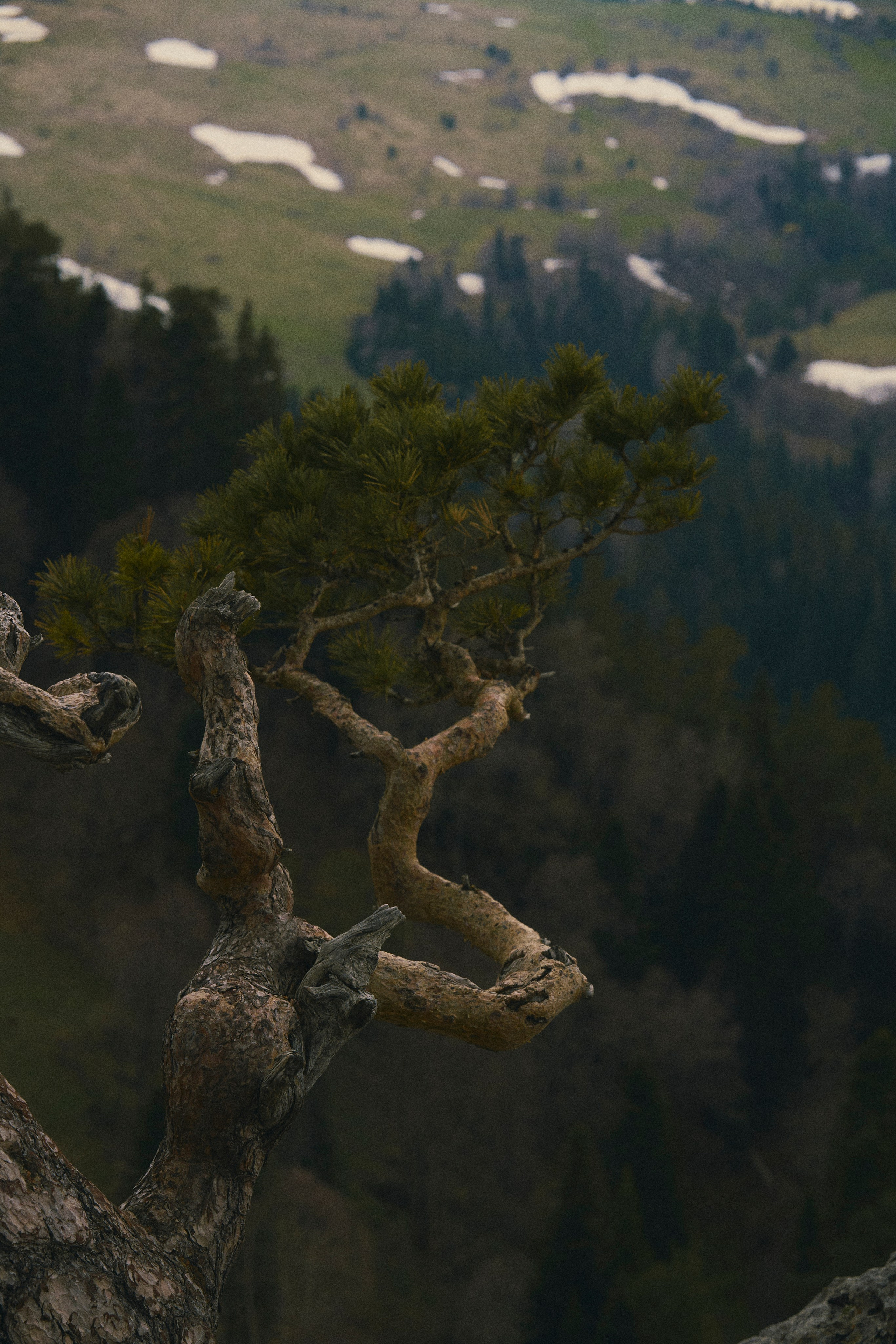 Krasnodar. Гасанова Алина|Фотограф в Санкт-Петербурге