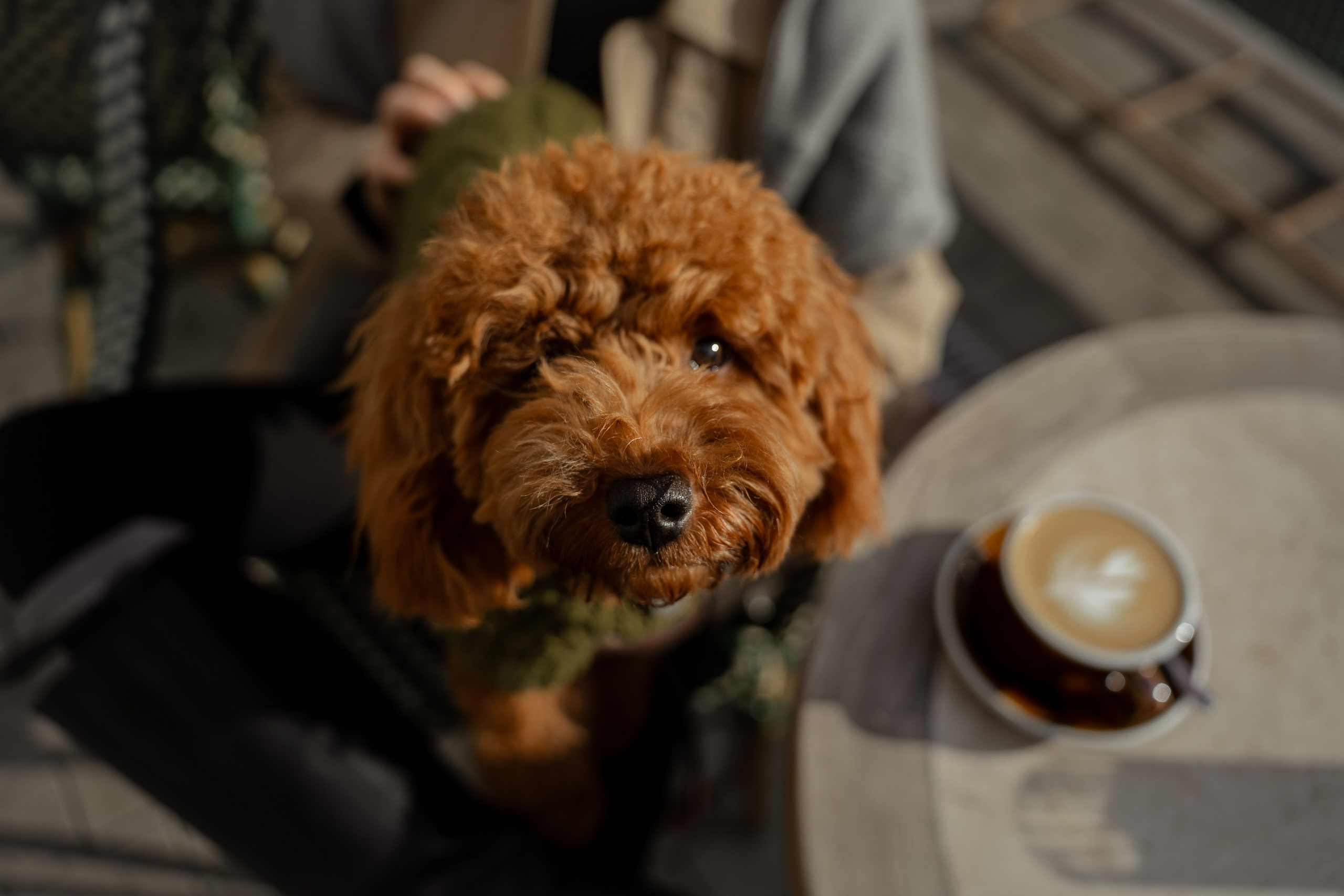 Таня и Боня. Фотограф Севастополь — Климова Анастасия