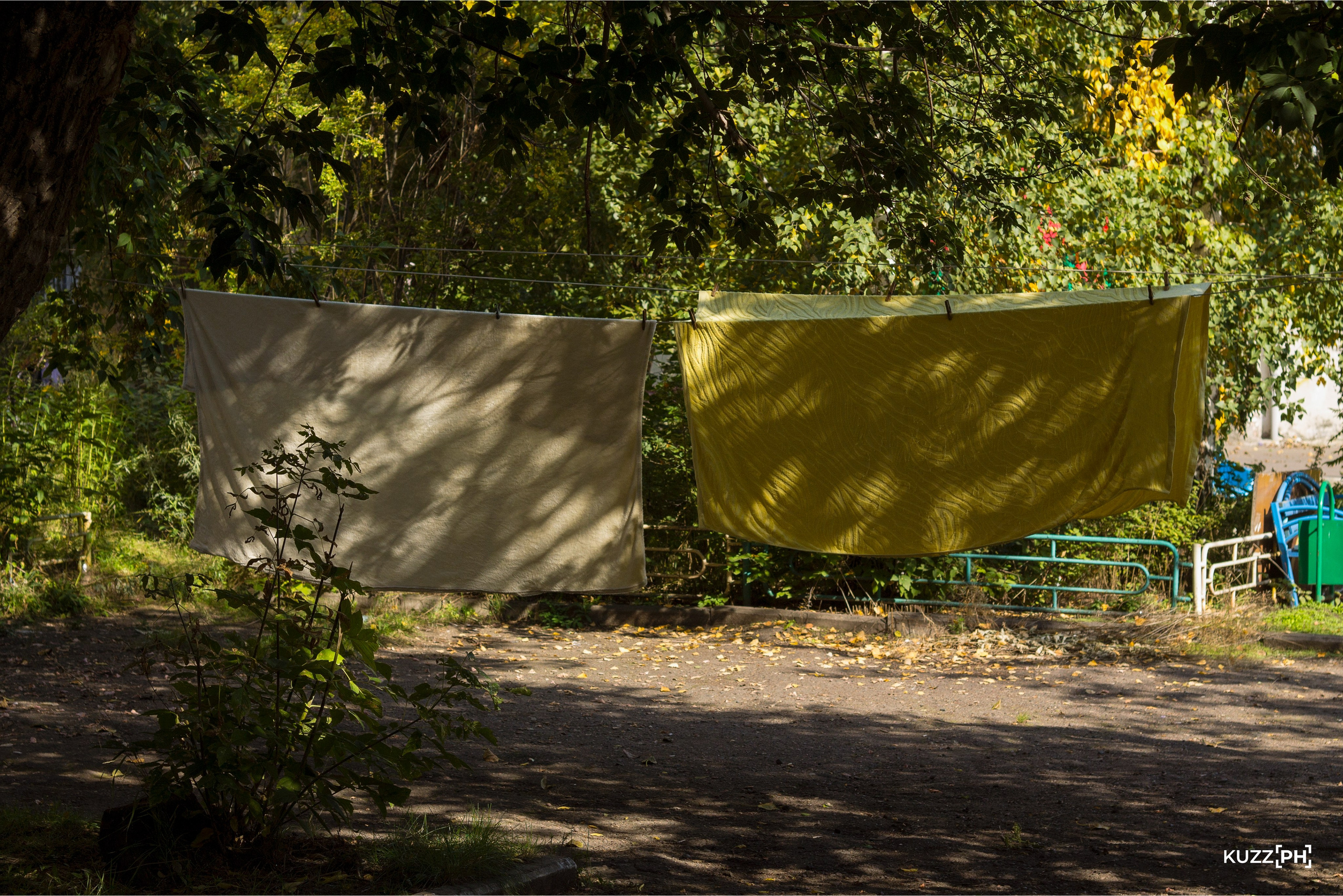 19.09.2023 | Красноярск. Kuznetsov | Фотограф в Красноярске