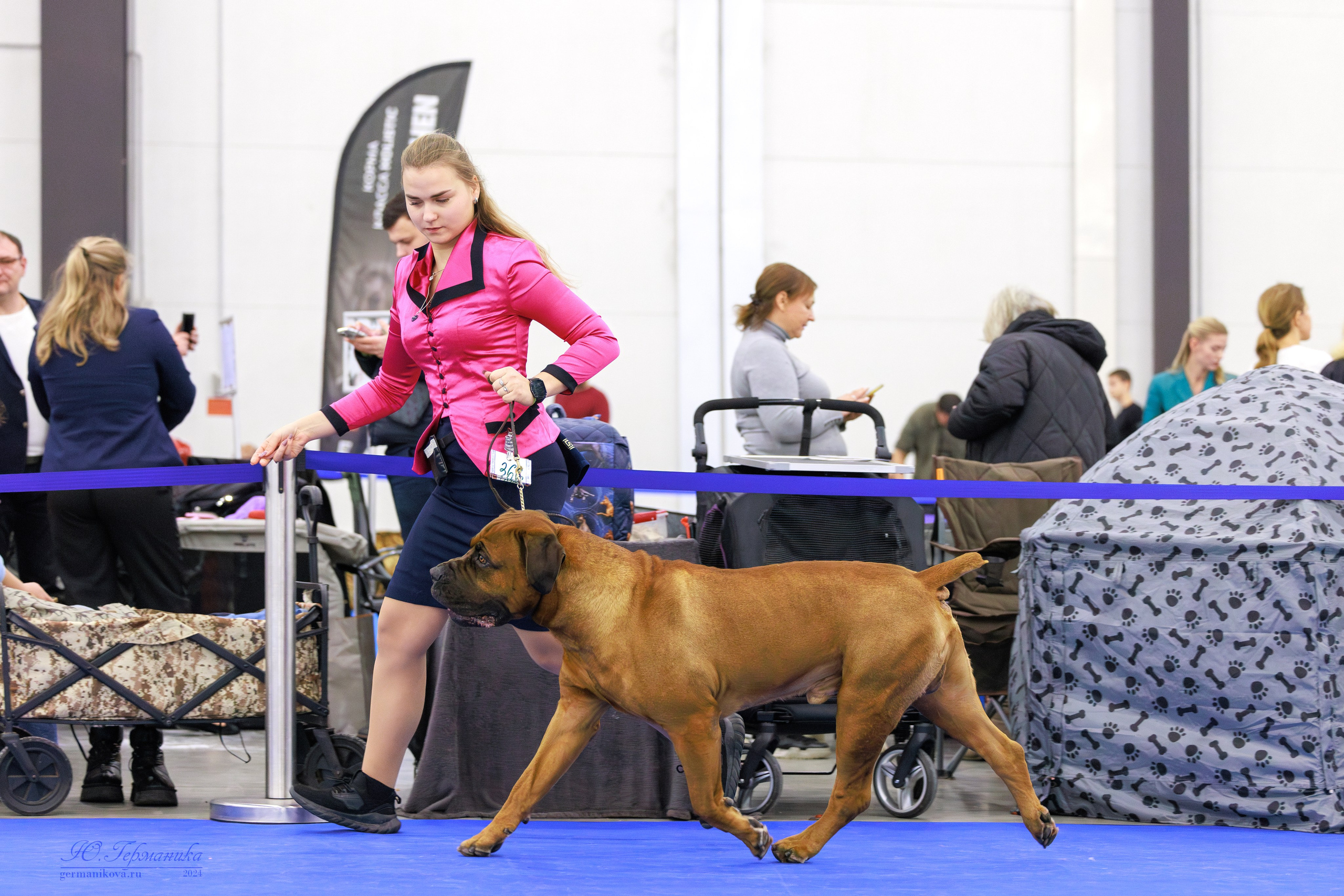 Санкт-Петербург 14.12.2024 ОС. Фотограф-анималист Юлия Германика