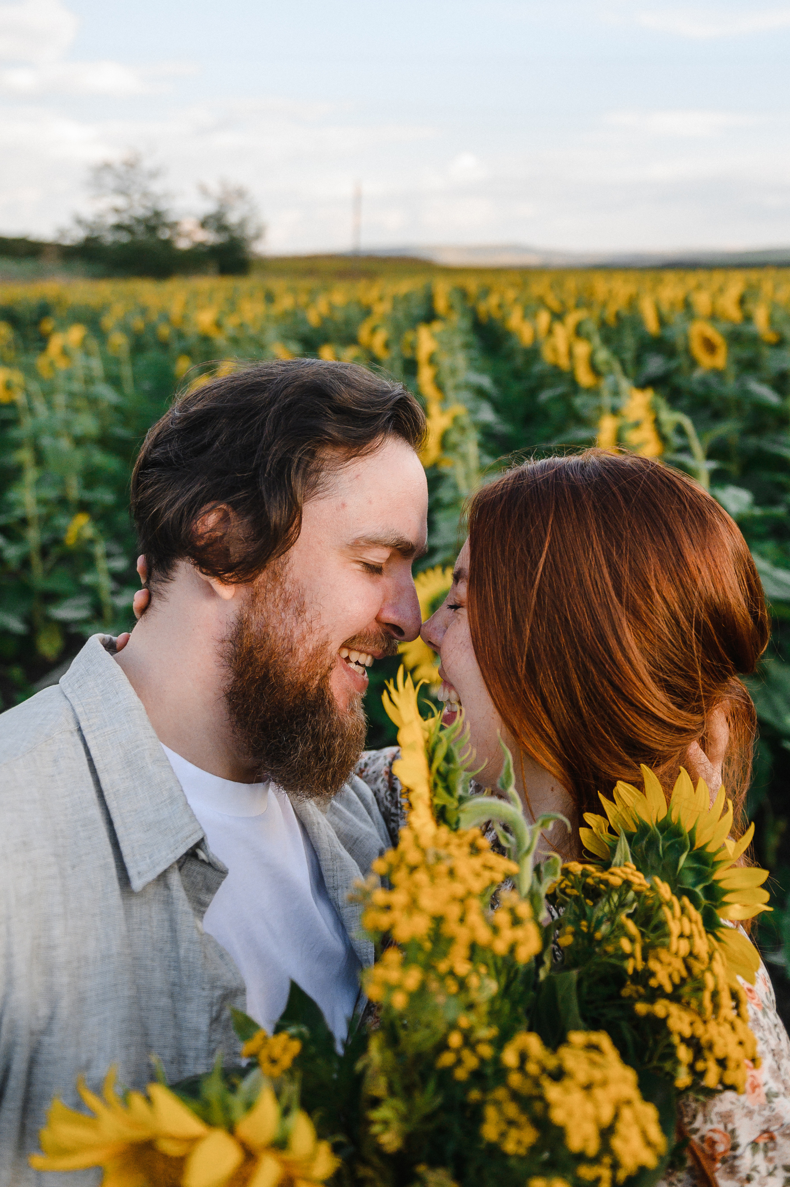На закате в Подсолнухах. Свадебный и семейный фотограф в Ставрополе Роман Иванов