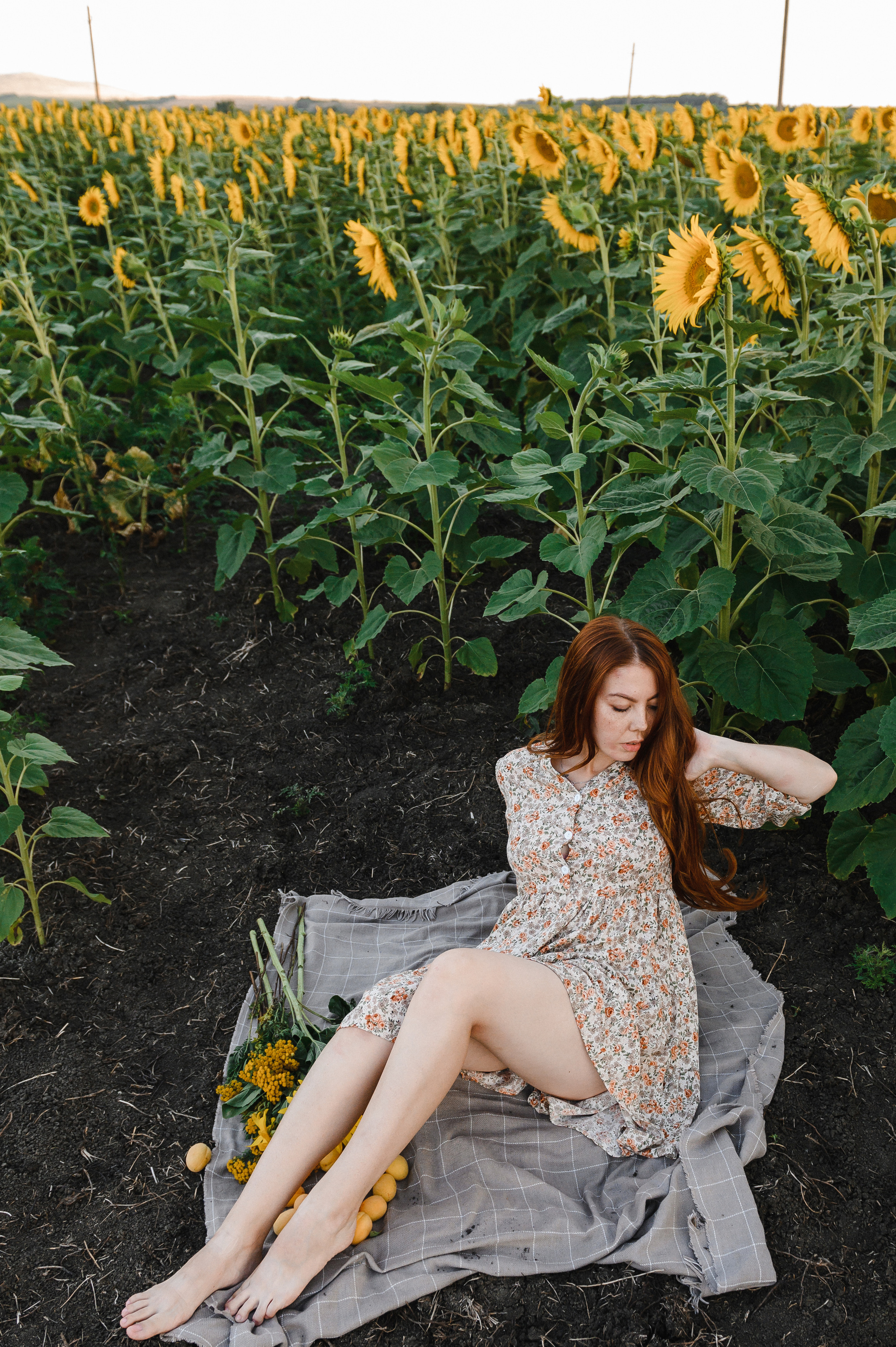 На закате в Подсолнухах. Свадебный и семейный фотограф в Ставрополе Роман Иванов