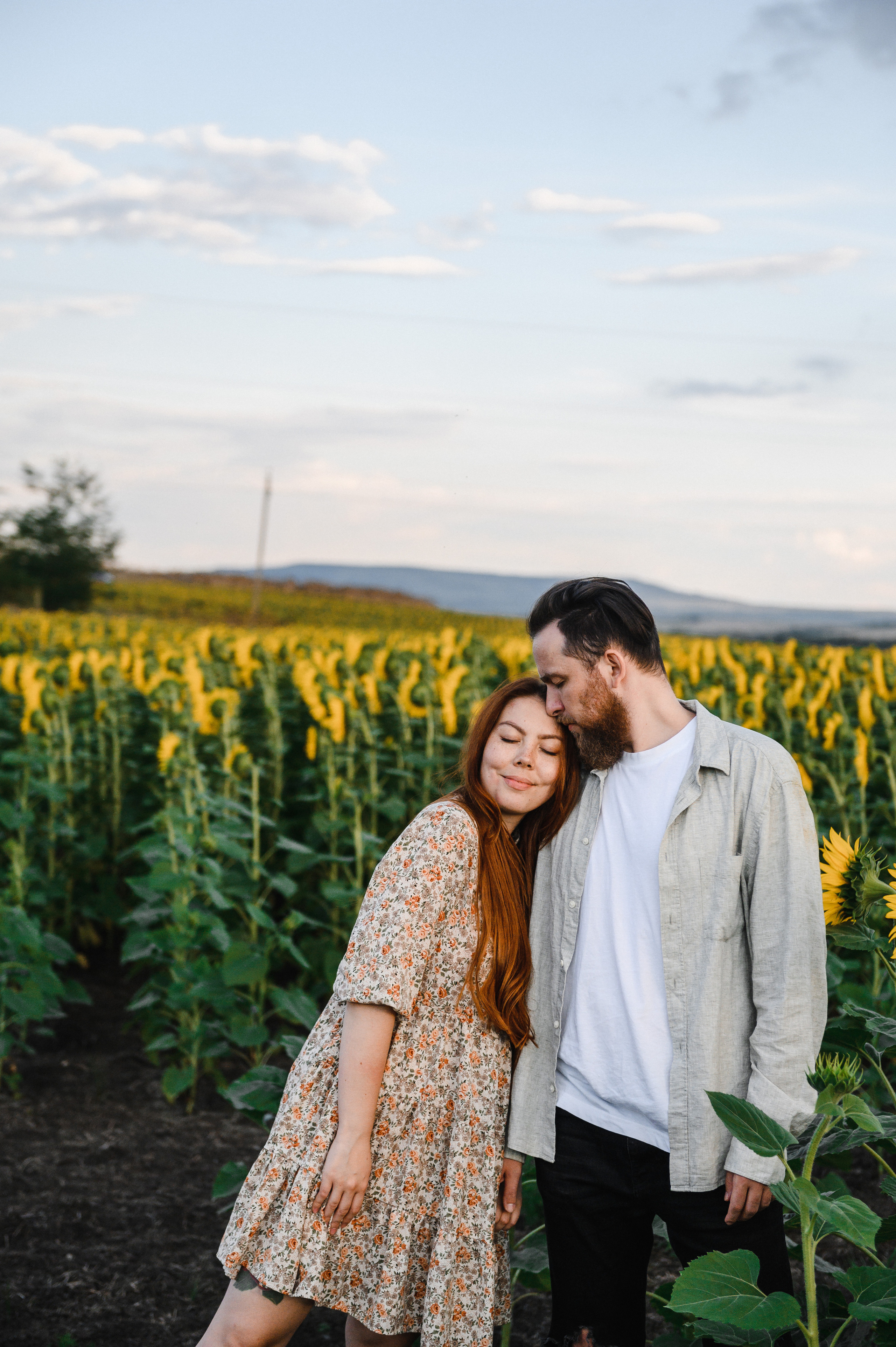На закате в Подсолнухах. Свадебный и семейный фотограф в Ставрополе Роман Иванов