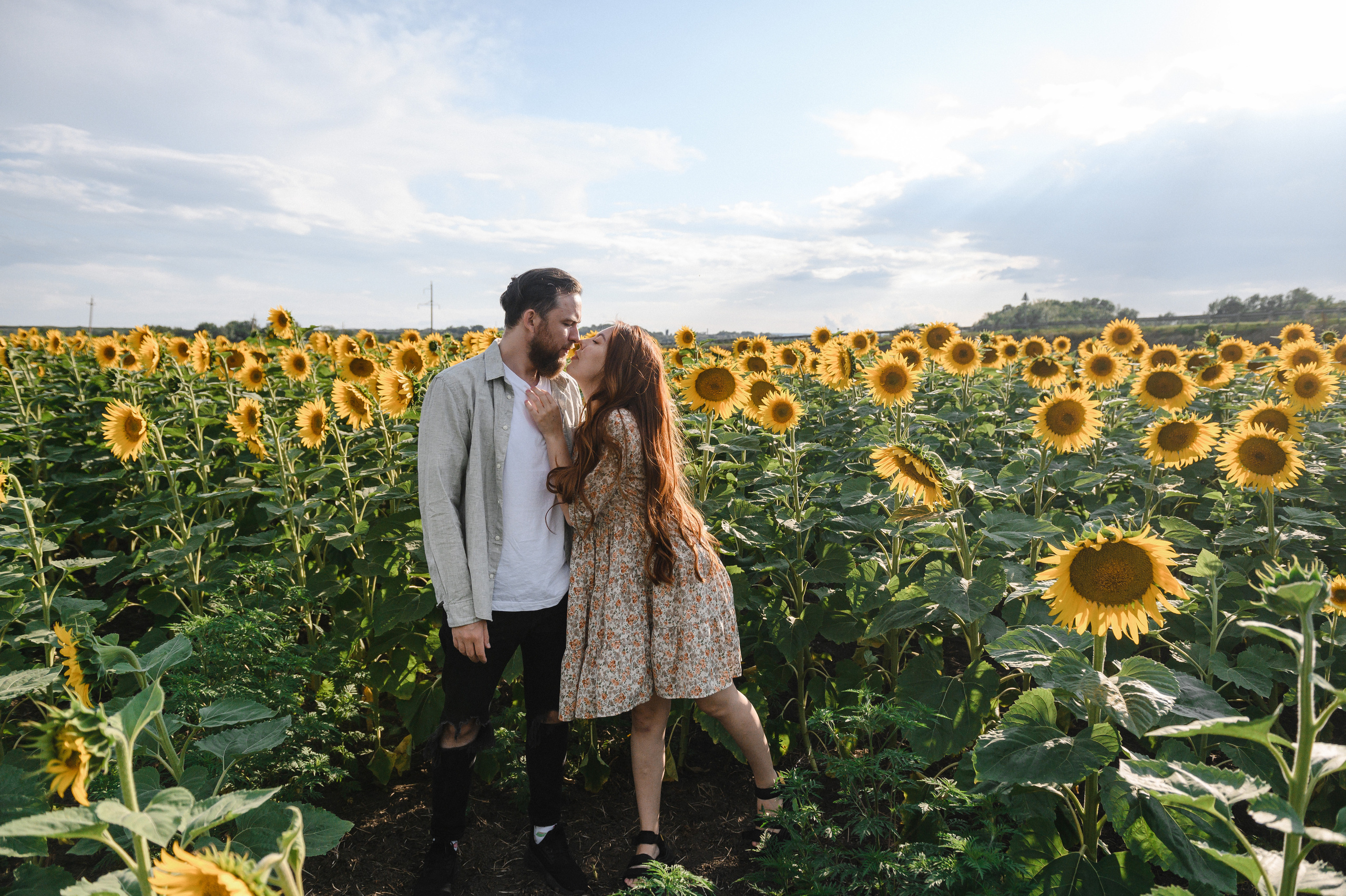 На закате в Подсолнухах. Свадебный и семейный фотограф в Ставрополе Роман Иванов