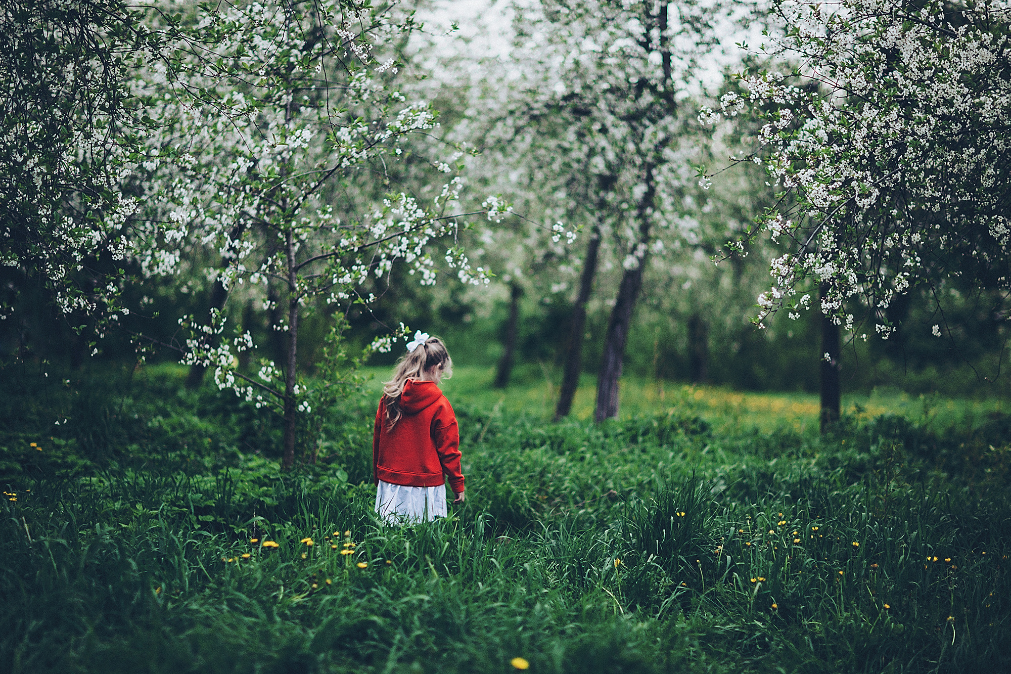 Детская фотосессия. Семейный и свадебный фотограф Катя Антонова Москва Сочи