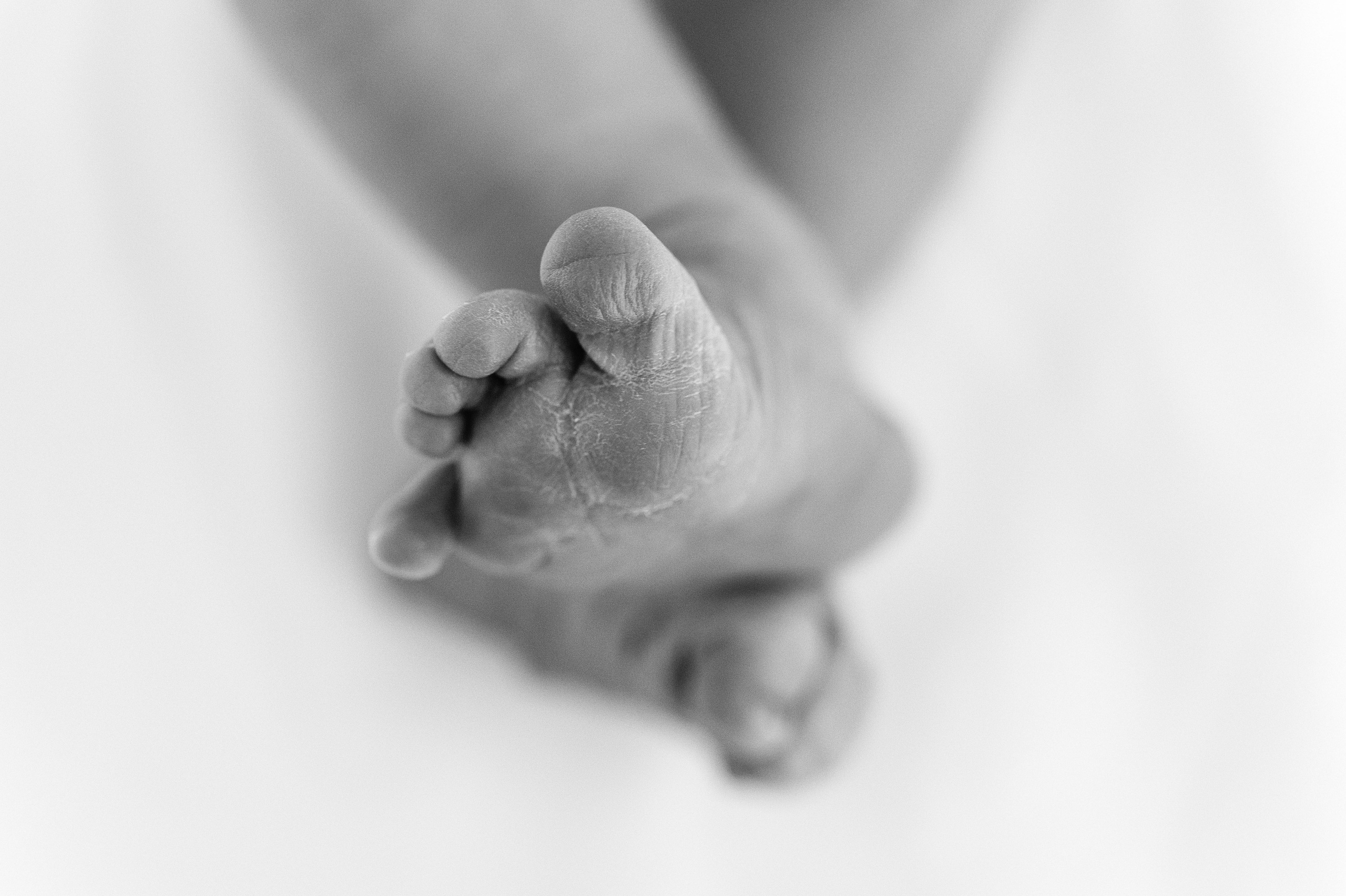 Выписка. Профессиональный фотограф беременности в СПБ. Стильные фотосессии беременности в стиле минимализм и классическая фотография