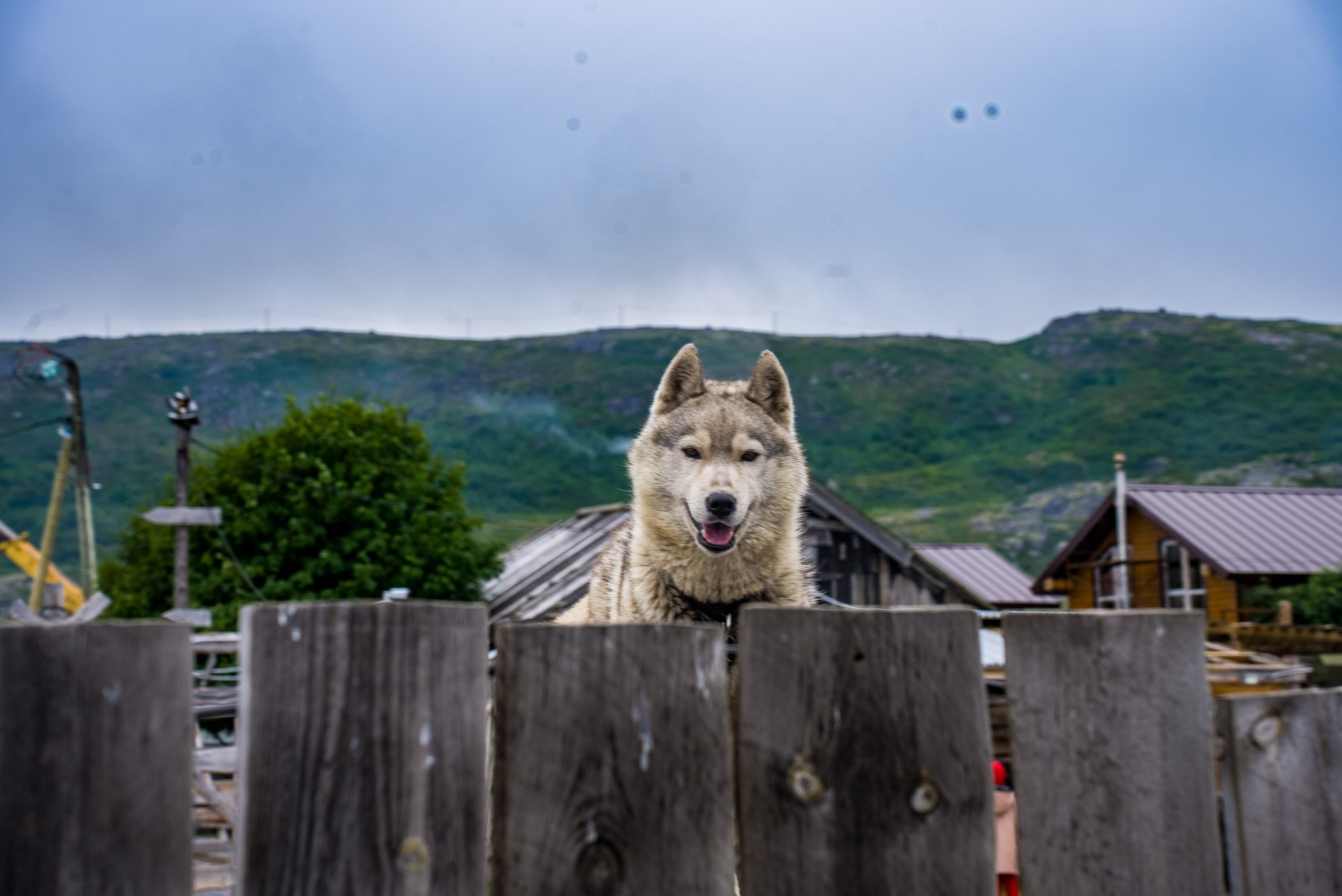 Путешествие на Север в 2024 году. Внедорожные путешествия — OFFROADTRIP