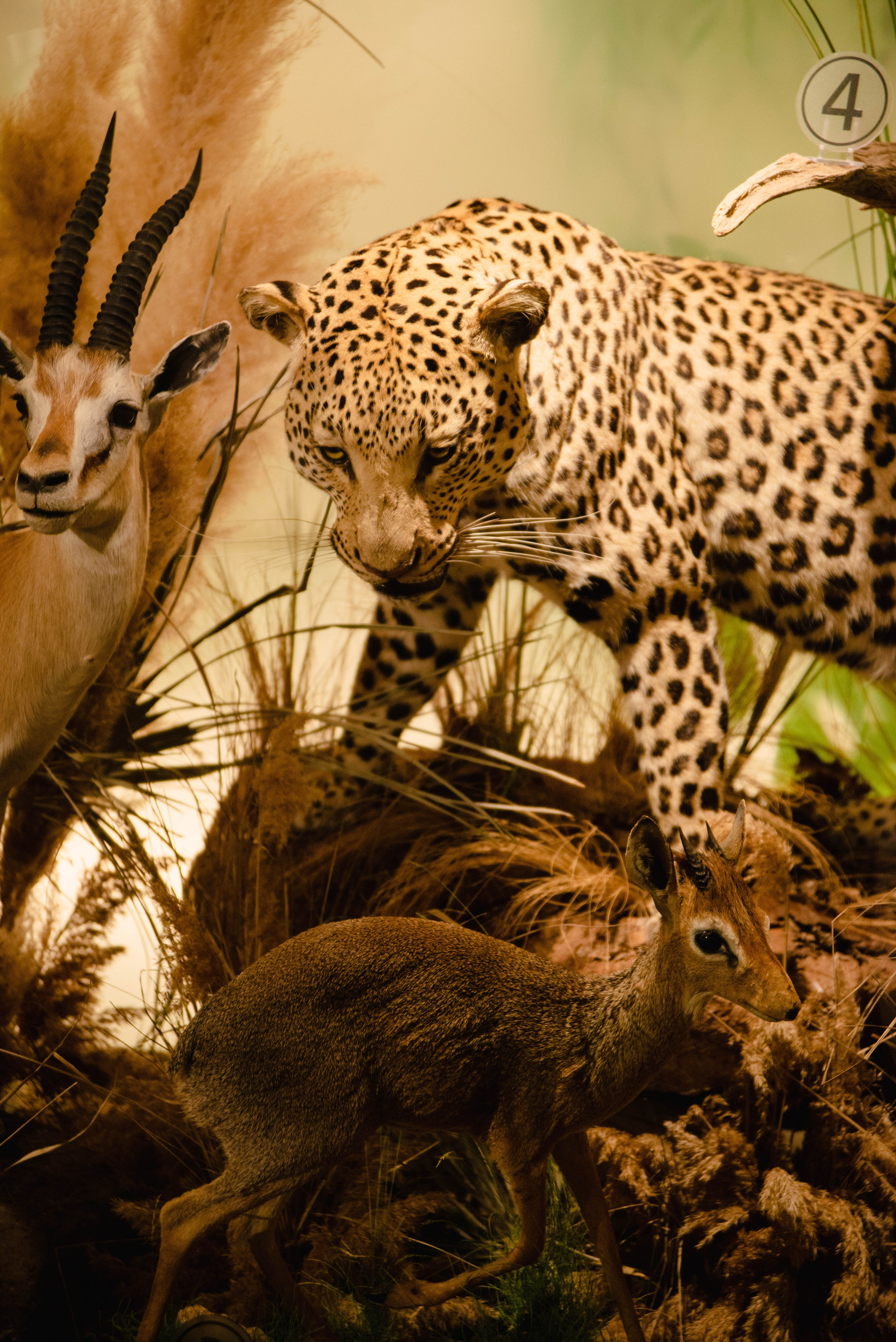 Контент и визуал для ресторана Ливингстон. Ксения Glossa. Портретный и репортажный фотограф в Самаре