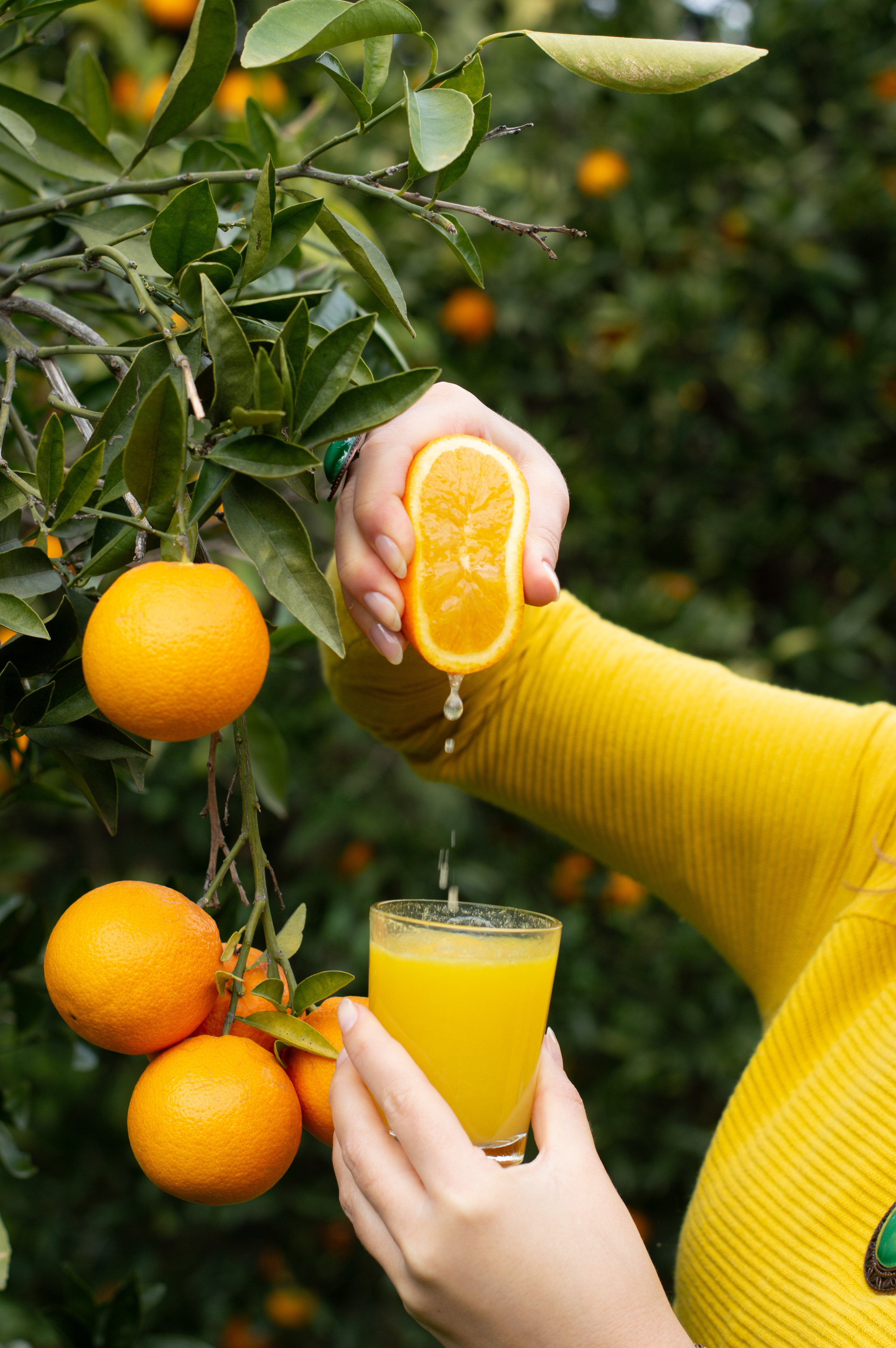 Оранжевое настроение. Фотограф в Калуге Светлана Нефедова