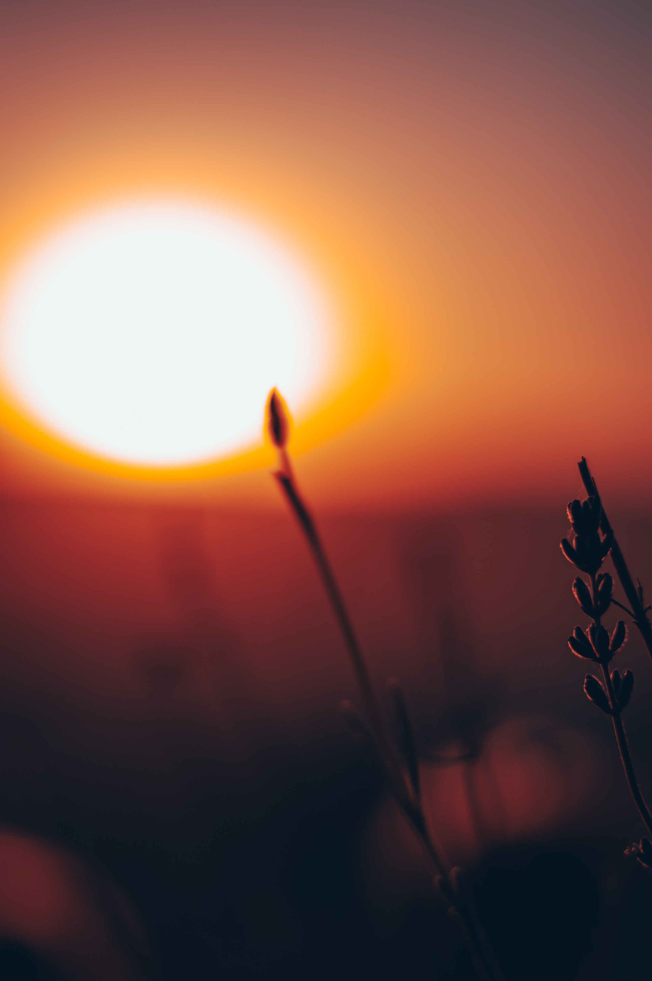 Каппадокия, Турция. Фотограф в Калуге Светлана Нефедова