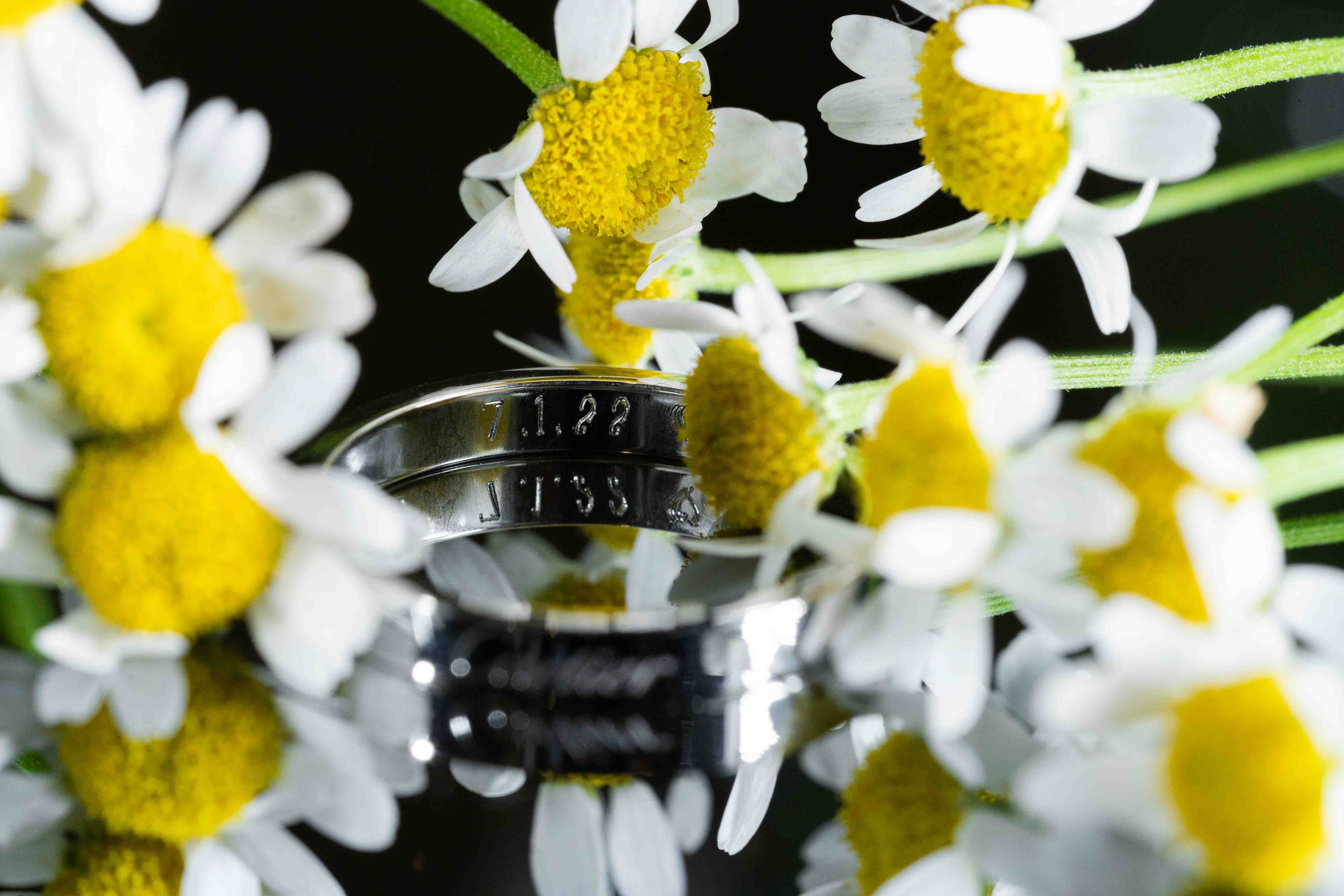 Арабская скромная помолвка дома (приватность на женские лица). Фотограф и видеограф в Москве и Абу Даби Мария Кулагина