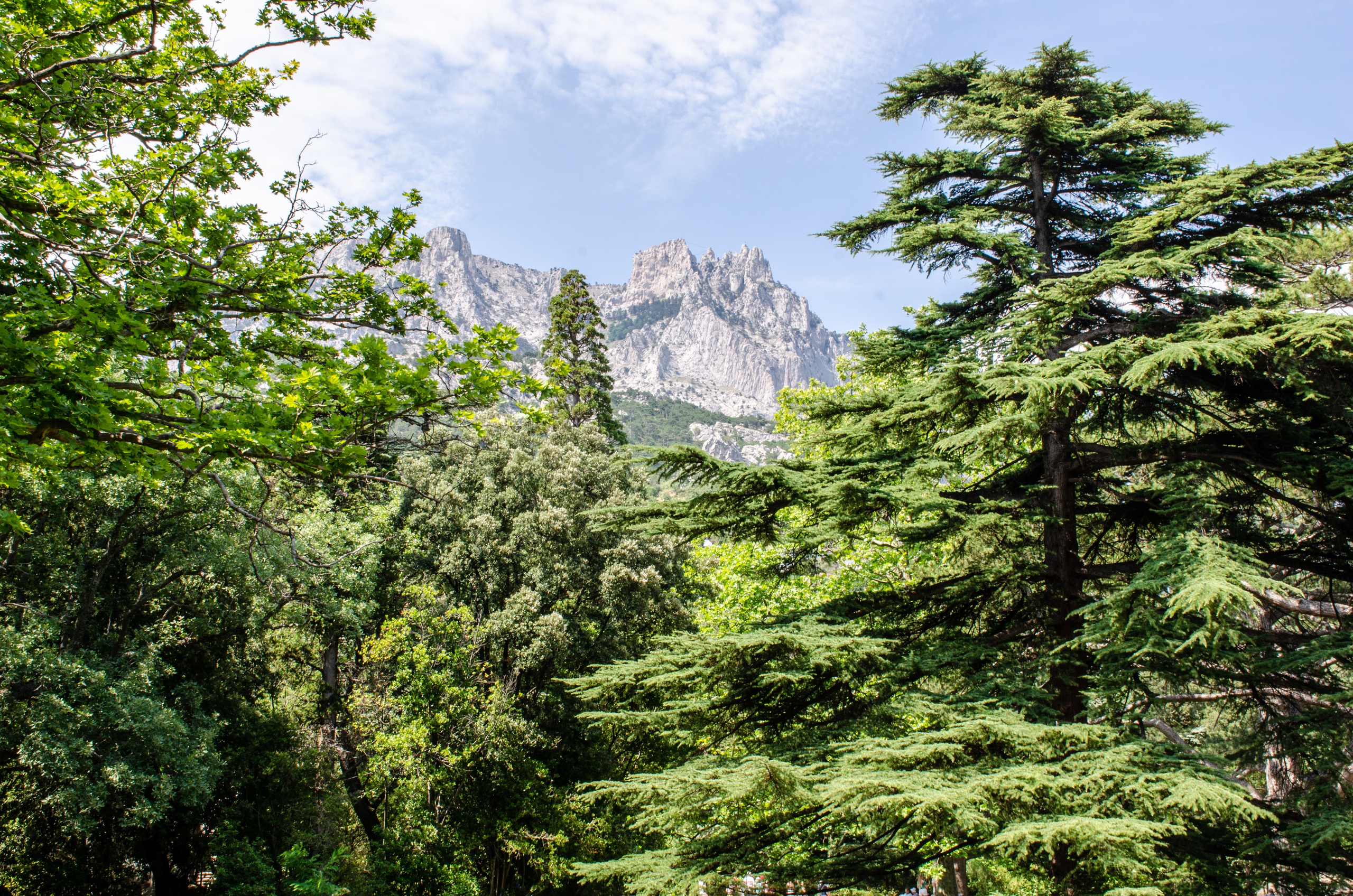 Путешествия. Фотограф и ретушер Самохвалова Ольга