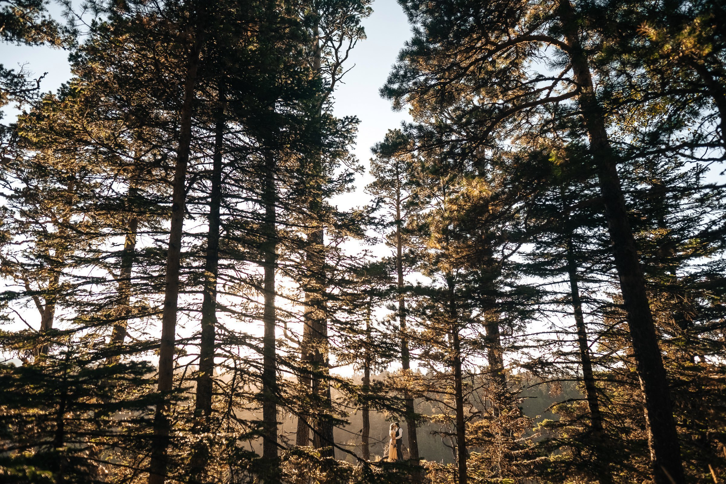 Alex & Anastasiya. Эмиль Докторян — Свадебный и семейный фотограф в Краснодаре