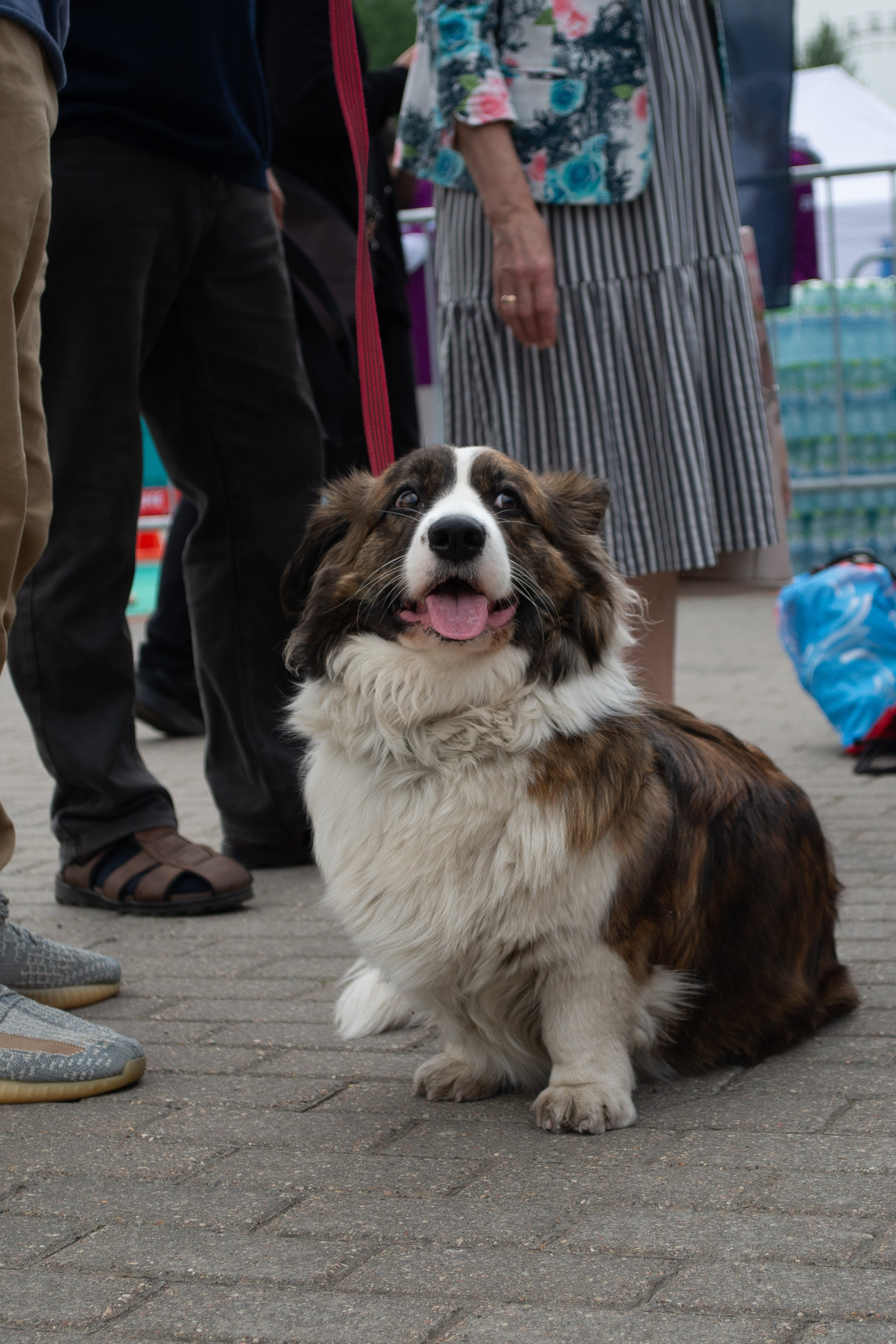 «СпортВоБлаго» Благотворительный забег для деток с синдромом Дауна. Victoria Radjevna Репортажный Фотограф — Видеограф Москва • Санкт-Петербург