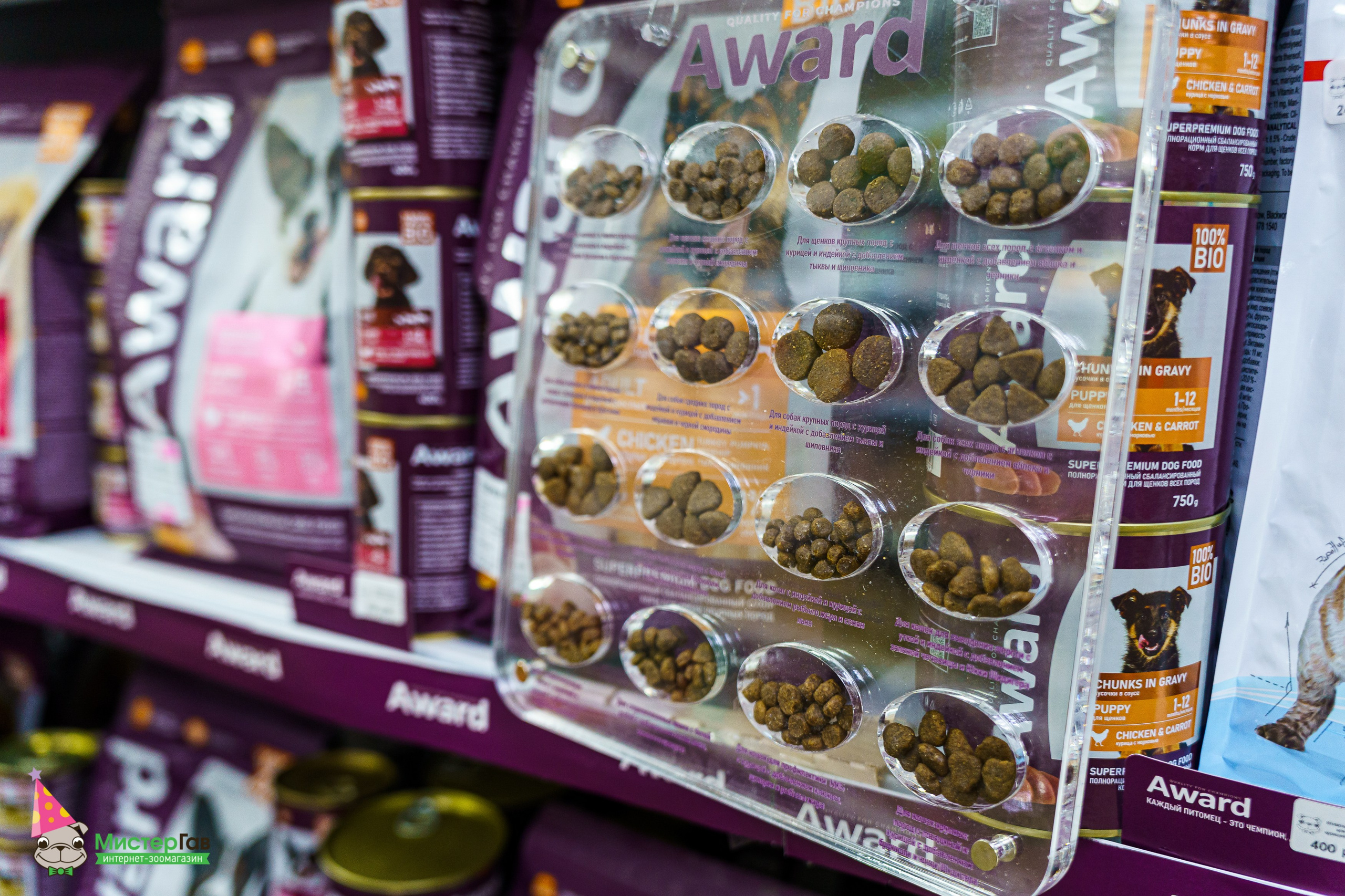 Мистер Гав -13 лет!. Фотограф Челябинск · Ольга Серебрякова