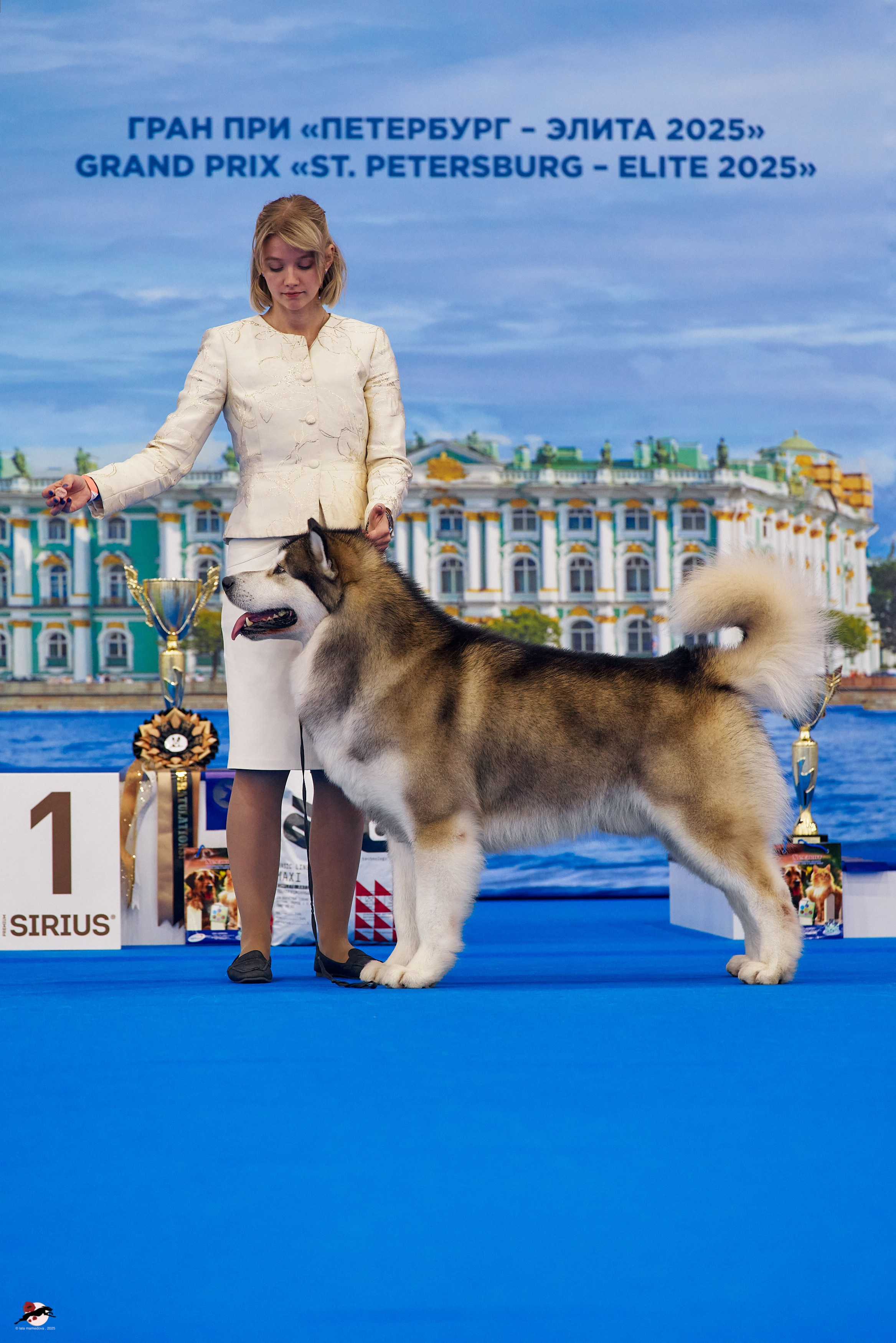 27.04.2025 | "Петербург-Элита 2025" & «КУБОК «ЭЛИТЫ»-2025»