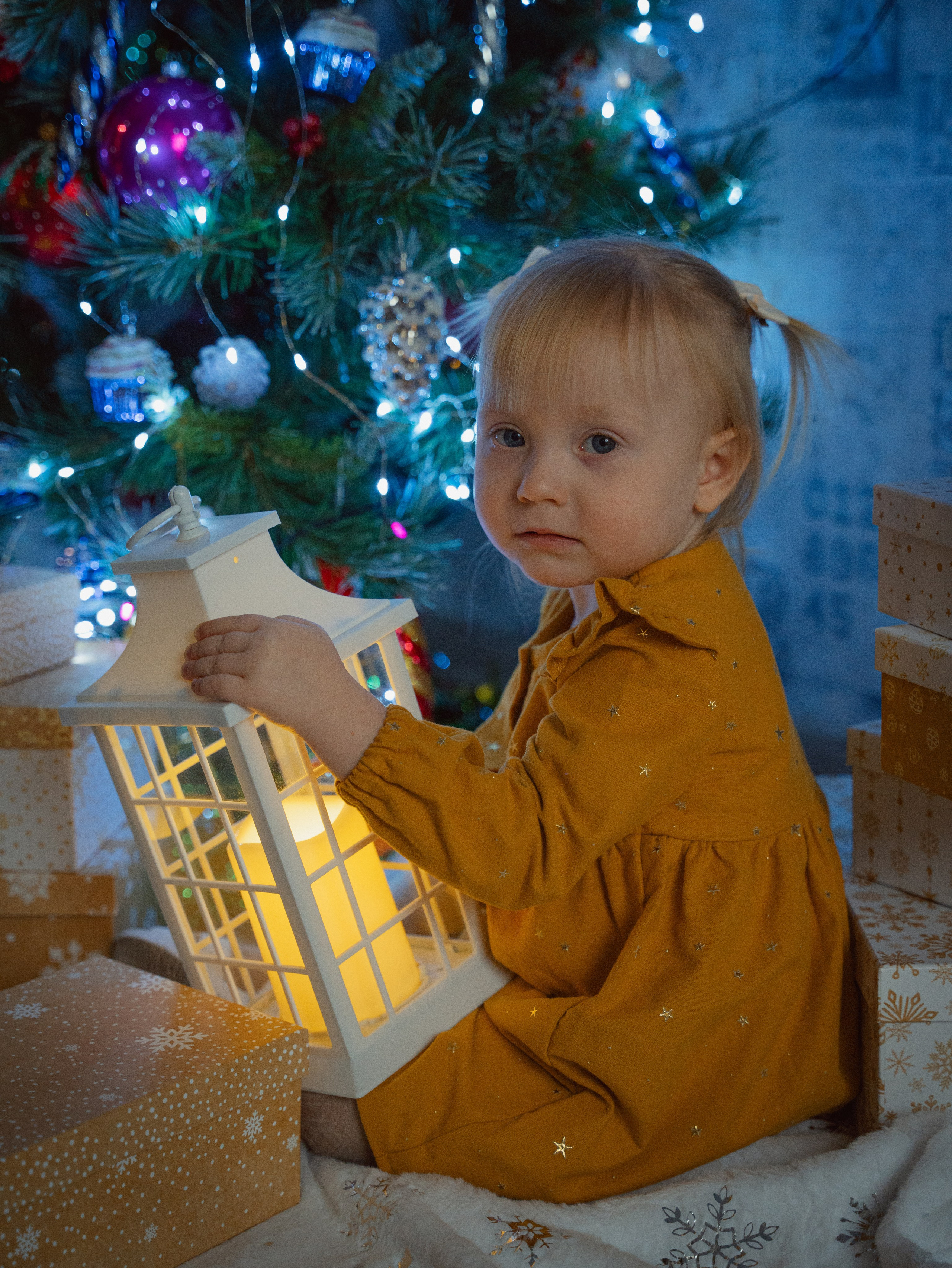 Новогодняя съемка. Https://andreevann.ru