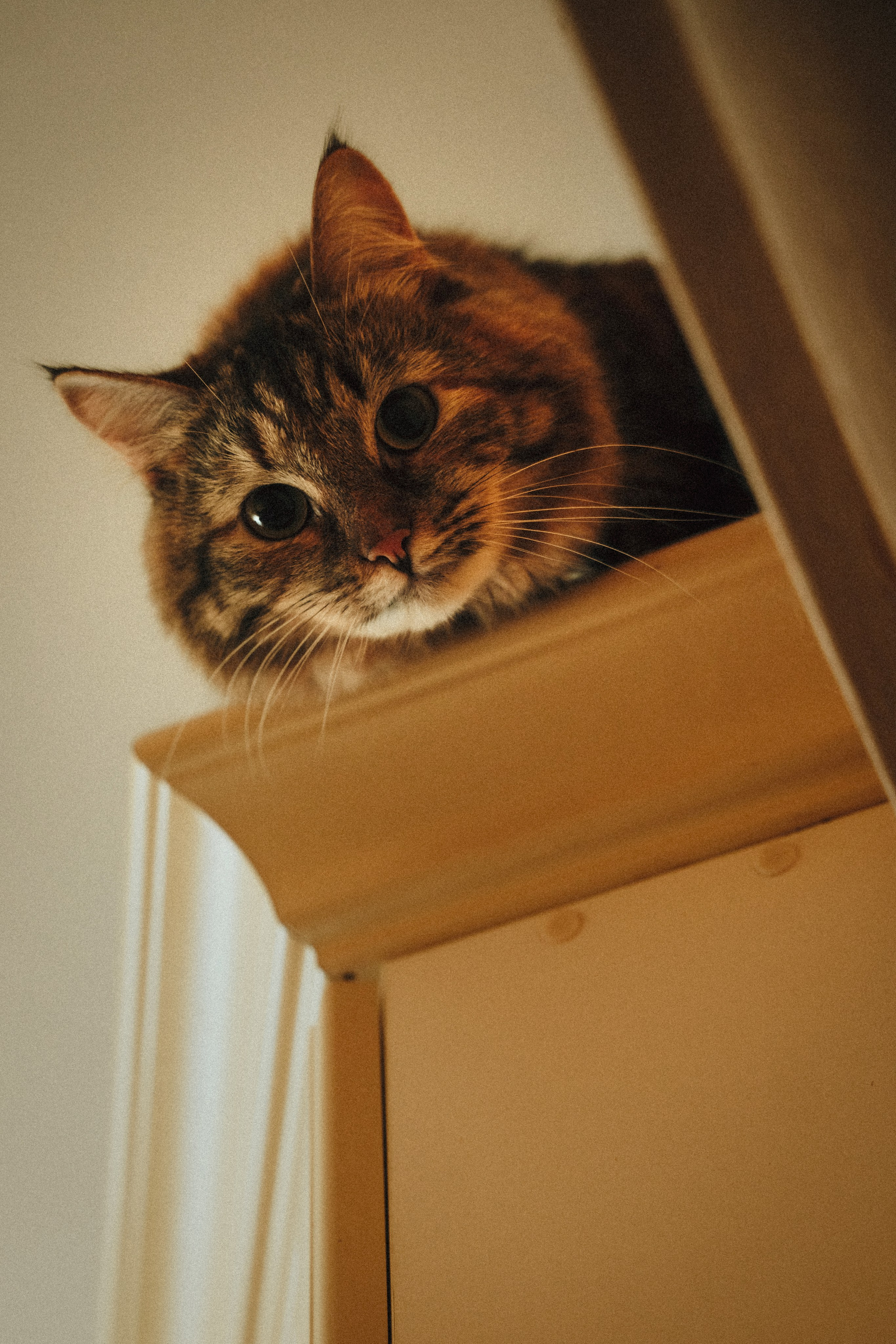 Катерина и Александр. Https://andreevann.ru