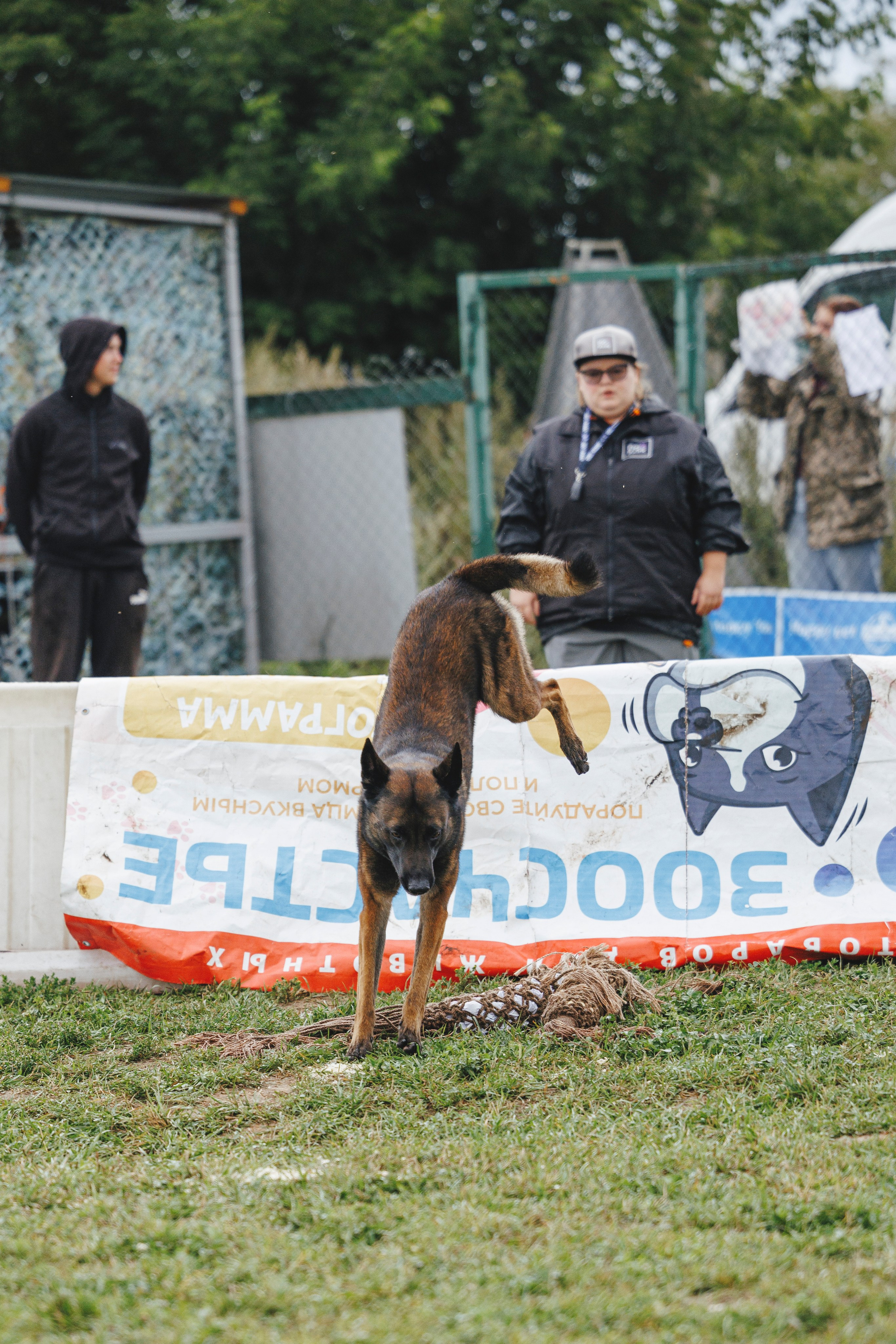 08.08.25-10.08.25 ЧР по мондьорингу г. Вологда. Фотограф-анималист Анна Маринич