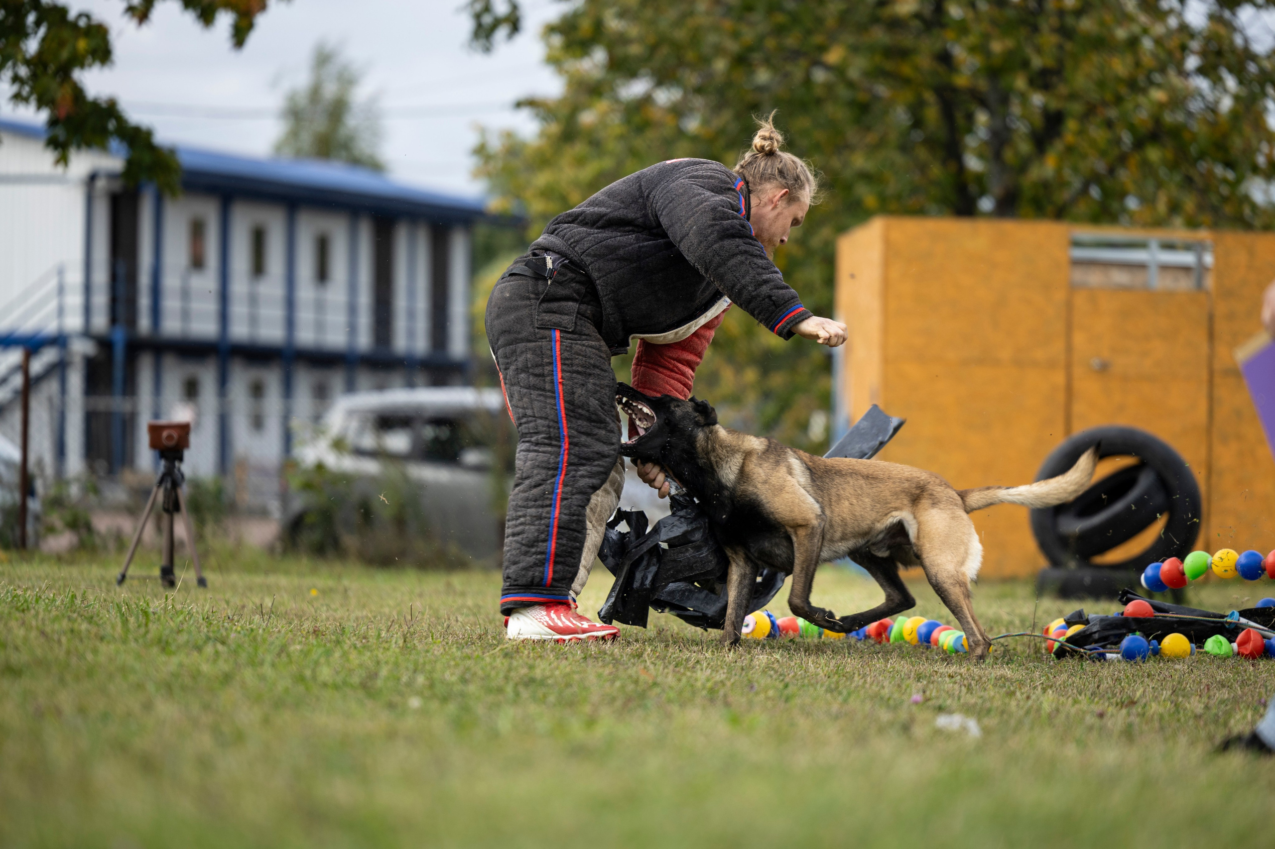 Испытания по Мондьорингу г. Пушкин. Фотограф-анималист Анна Маринич
