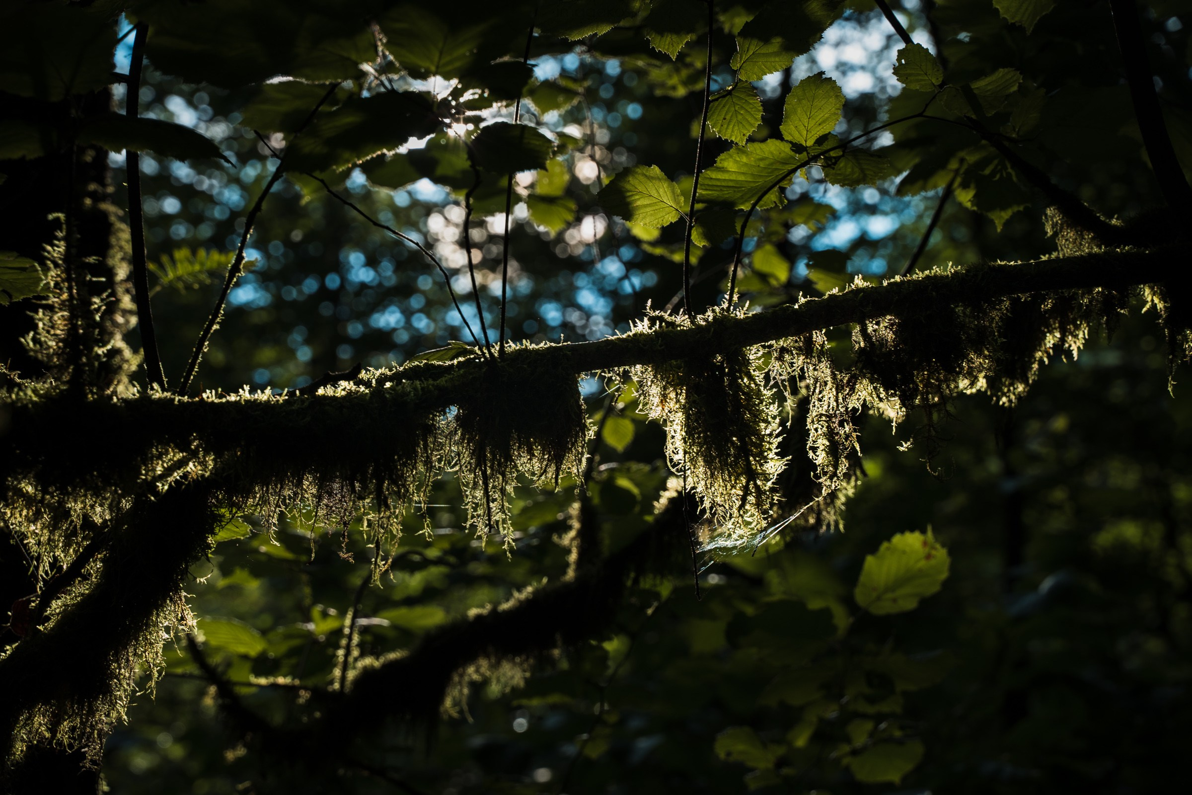 Адыгея. 30й маршрут. Фотограф в поход и восхождение на Эльбрус Игорь Косарев