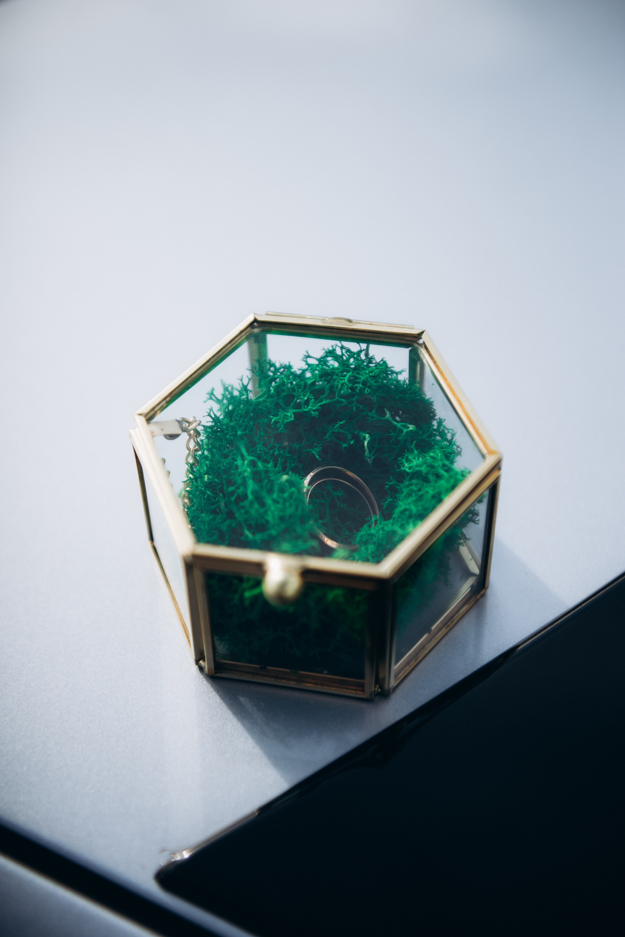 Кристина и Владимир. Артём Самойленко, фотограф в г. Волгоград