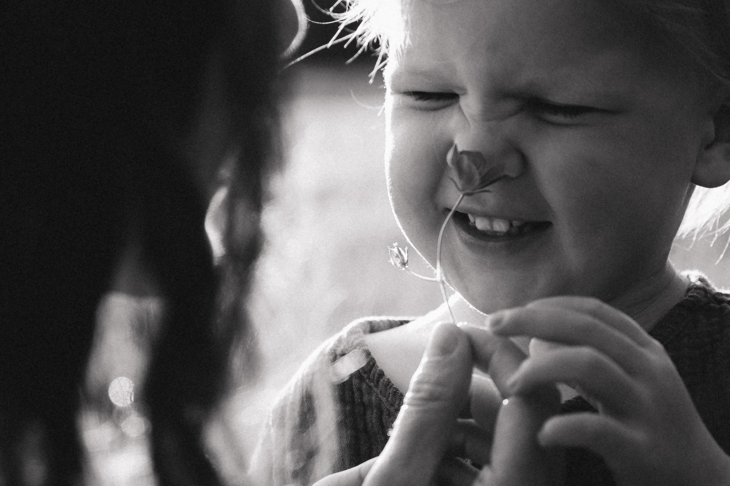 Стеша и Филя. Главная