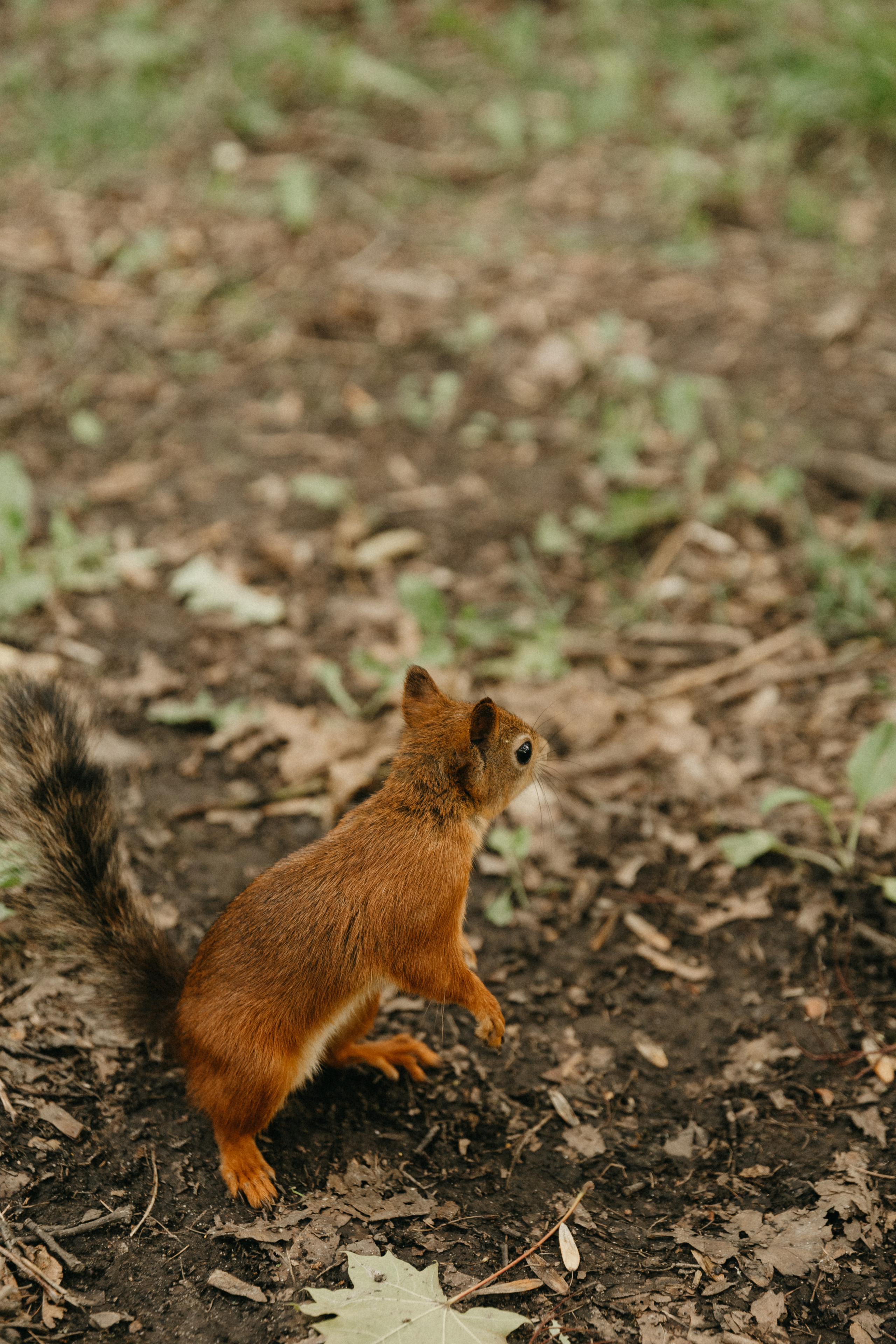 Катя, Саша, Варя. Главная