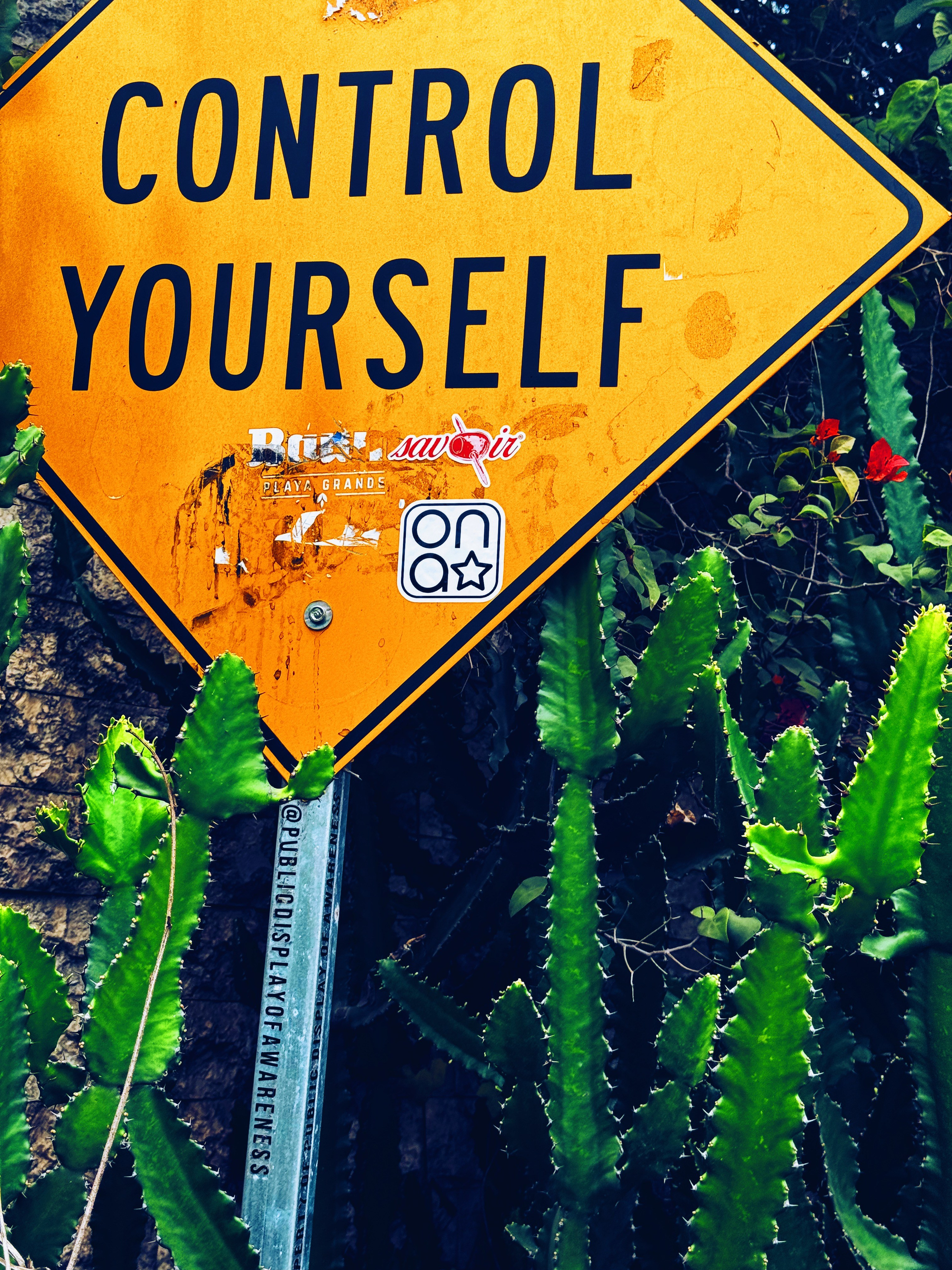 Elements. Carolinetru