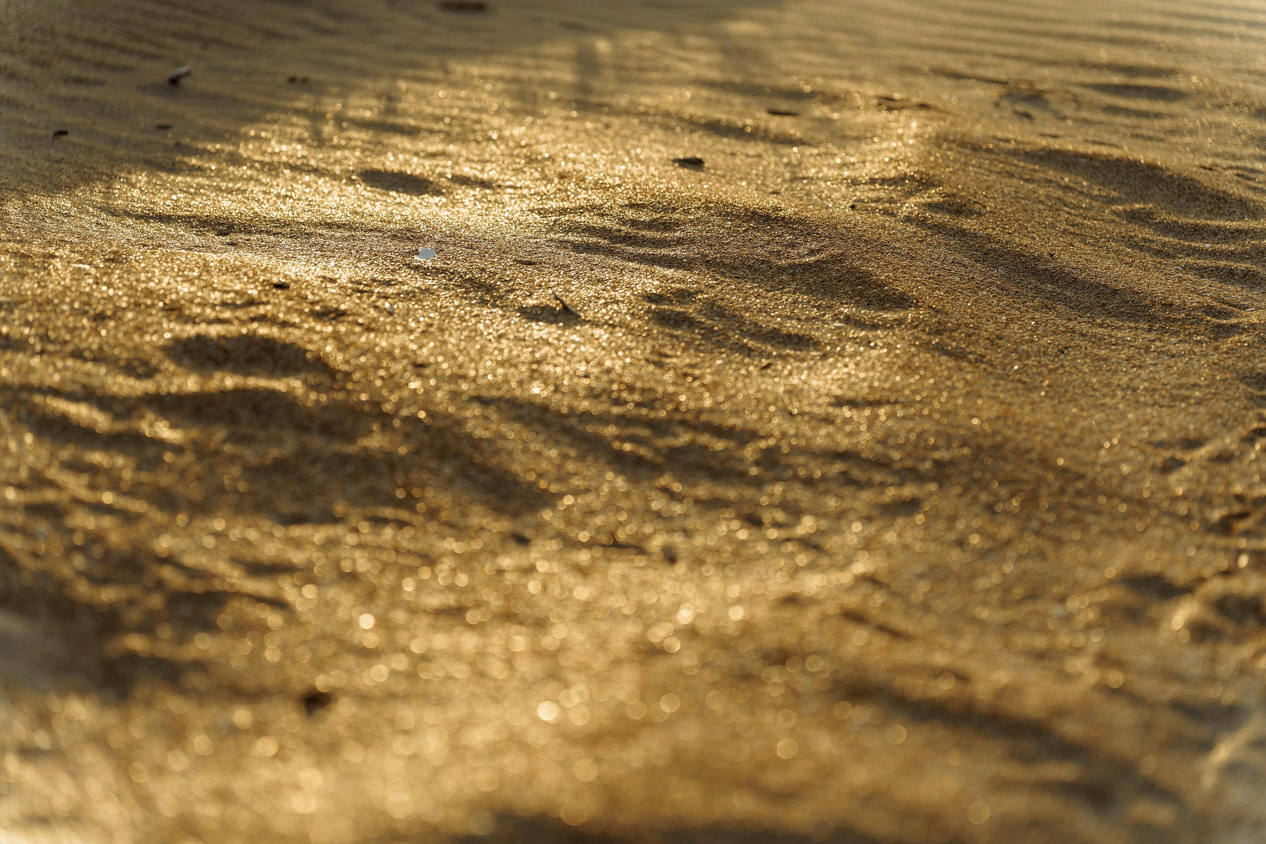 Марк. Татьяна Тагель